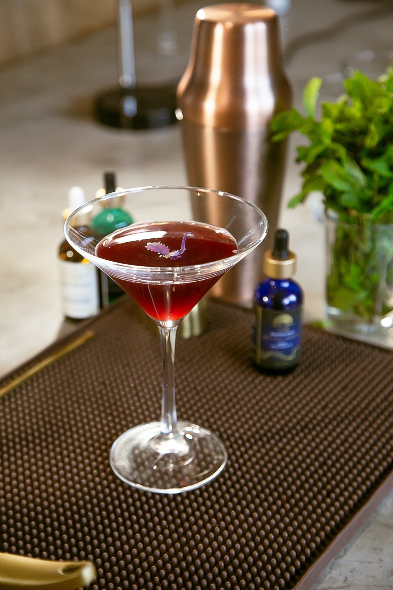 A cocktail glass with red drink on a bar mat, with a copper shaker, blue bottle, and green plant in background.