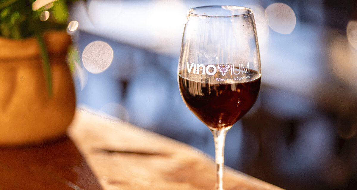 A glass of red wine on a wooden surface with blurred background, and a potted plant nearby.