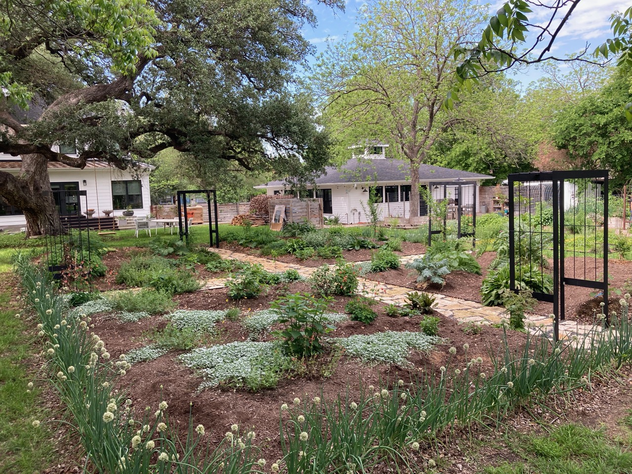 Community Highlights: Meet Taelor Monroe of Austin Permaculture Guild