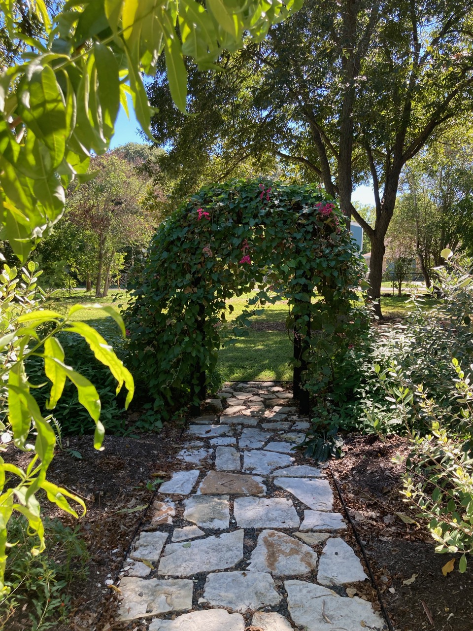 Stone pathway leading to a garden arch covered with pink flowers, surrounded by green trees and plants.