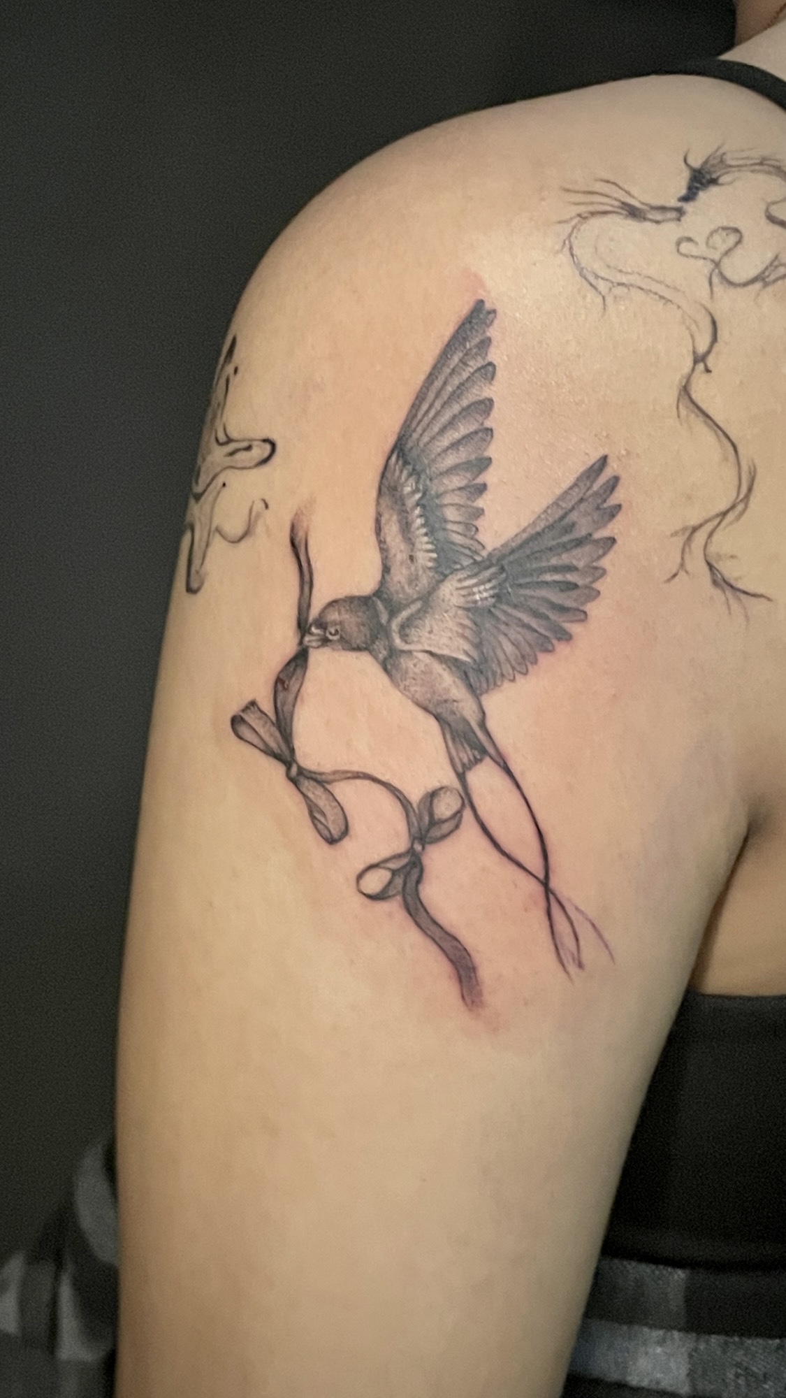 Tattoo of a bird perched on a branch on person's upper arm, with additional line art sketches nearby.