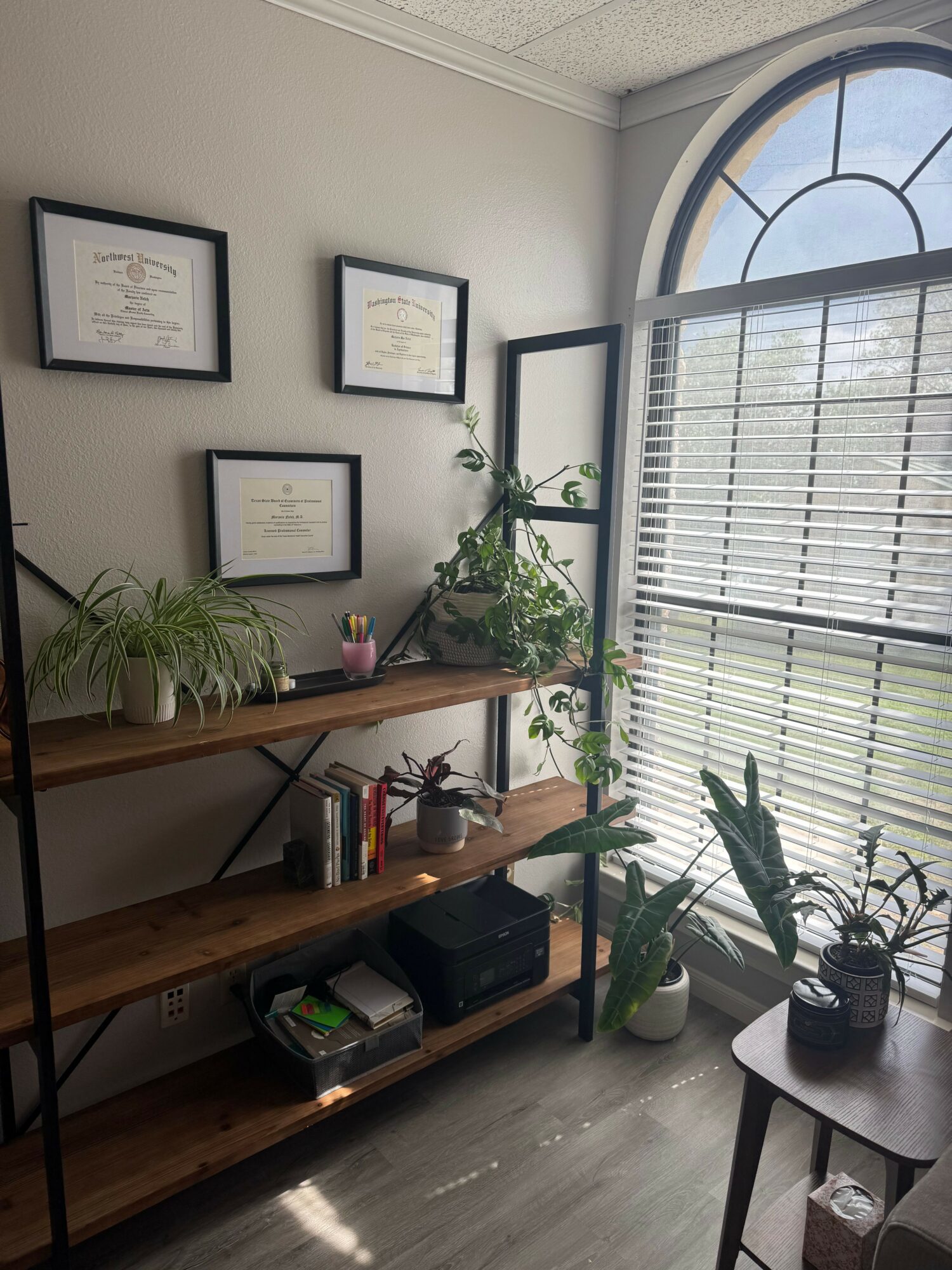 Interior room with a large window, framed certificates on the wall, and plants on a wooden shelf.