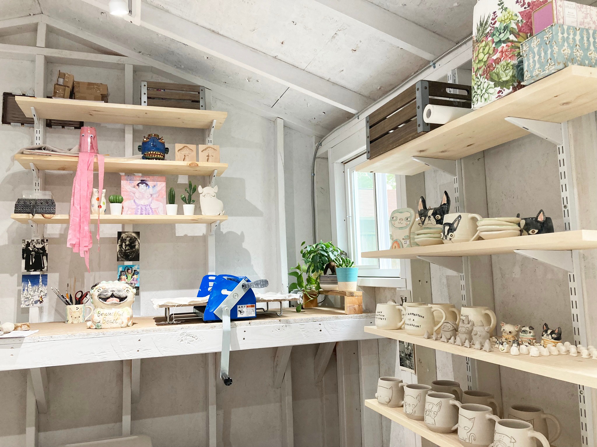 Interior of a cozy room with shelves holding various decorative items, plants, and ceramics, near a window with natural light.
