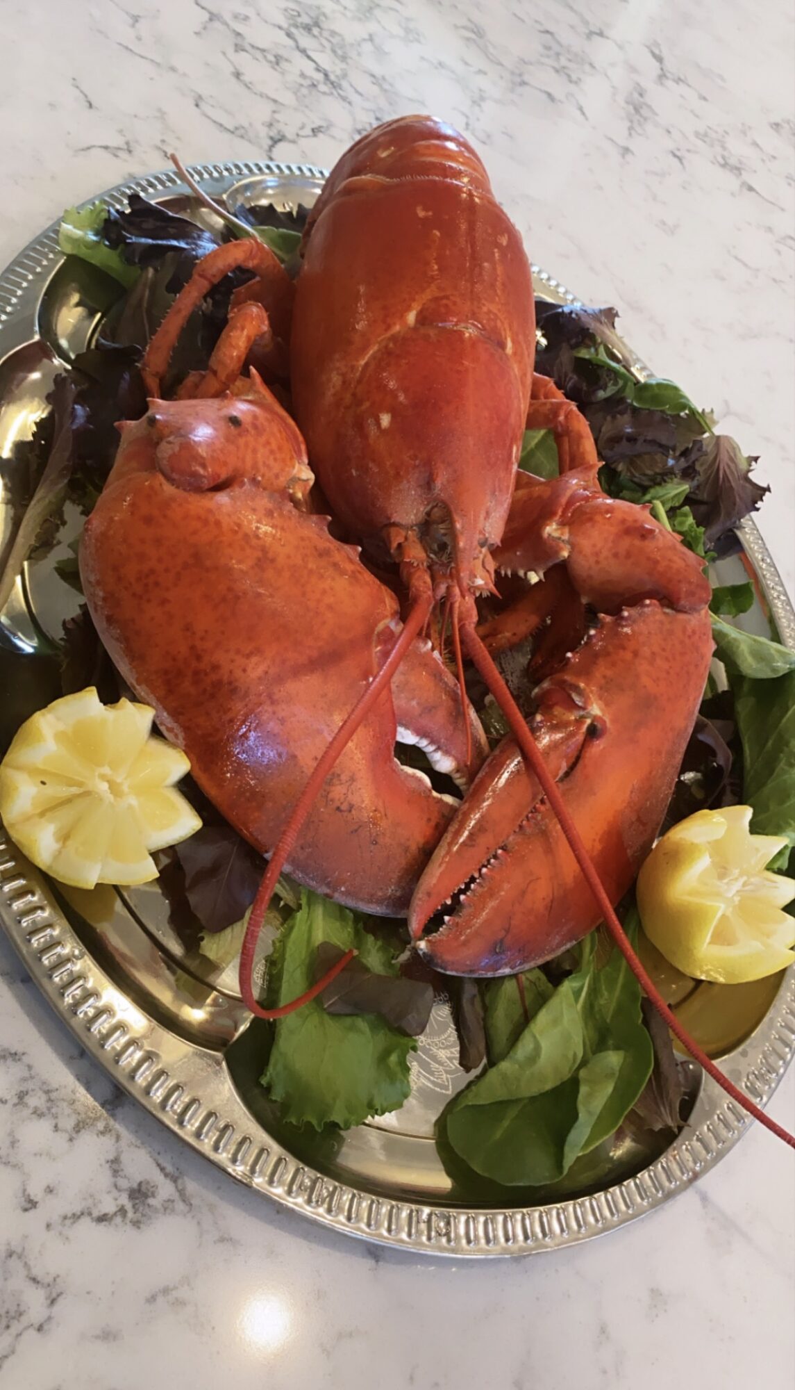 Lobster on a silver platter with lemon wedges and greens, viewed from above.