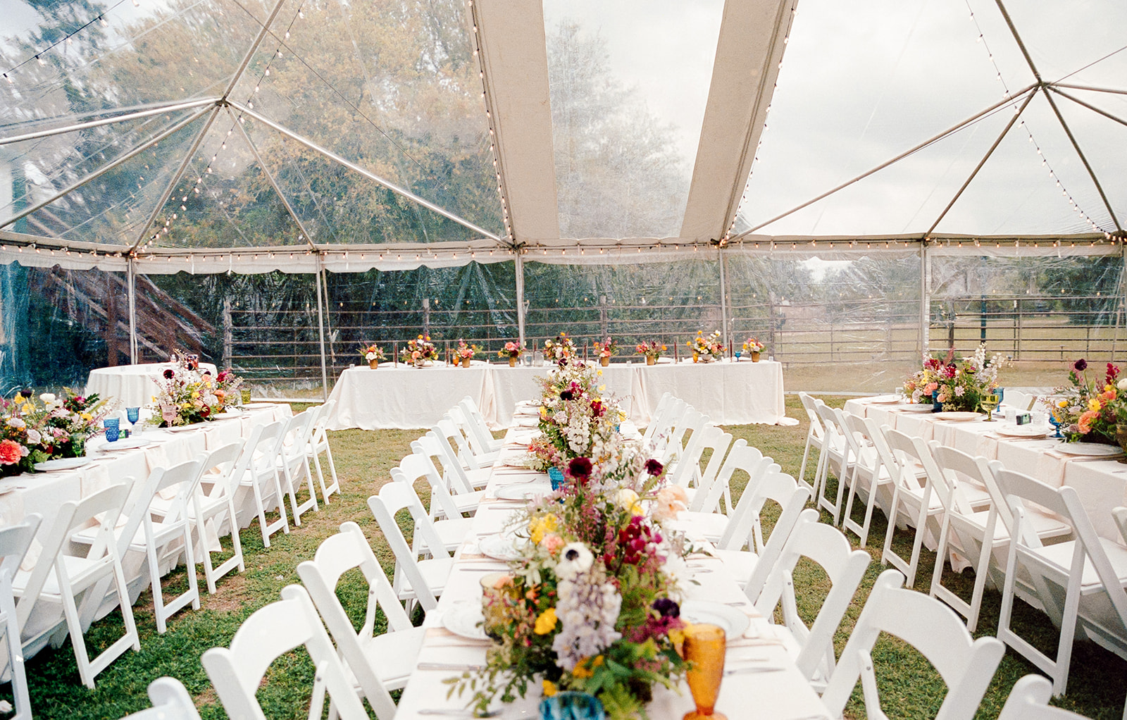 Long table with floral centerpieces and white chairs inside a transparent tent, set for an event.