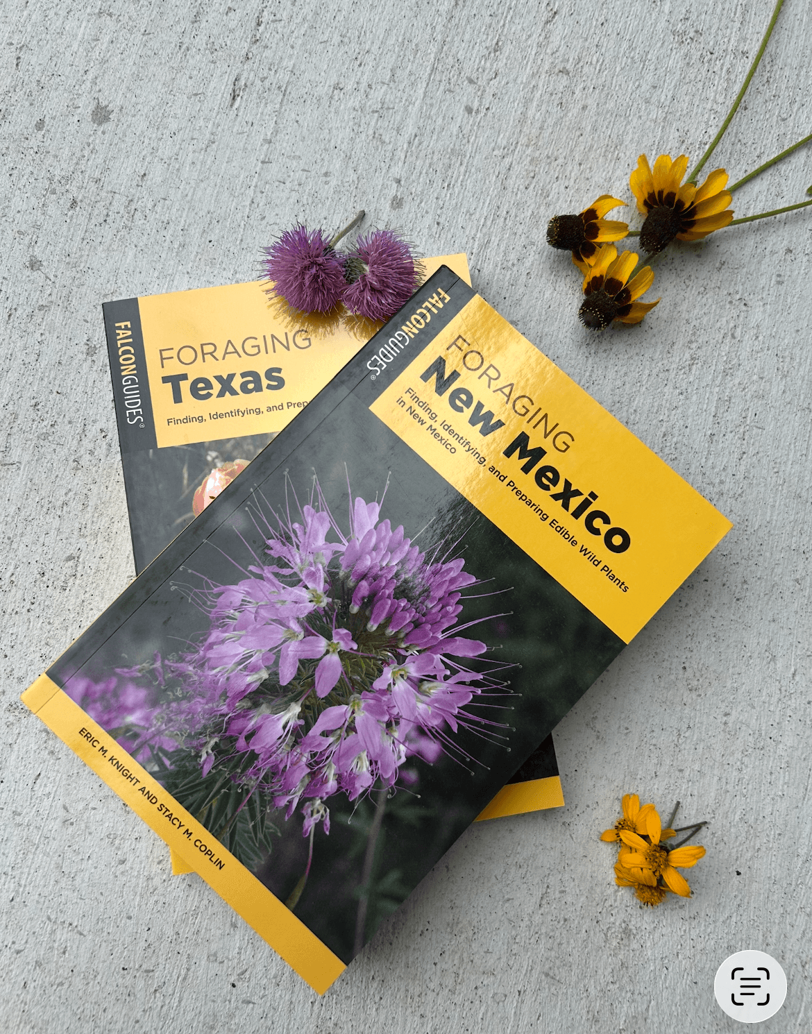 Two seed packets with purple and yellow flowers on a gray surface, with loose flowers nearby.