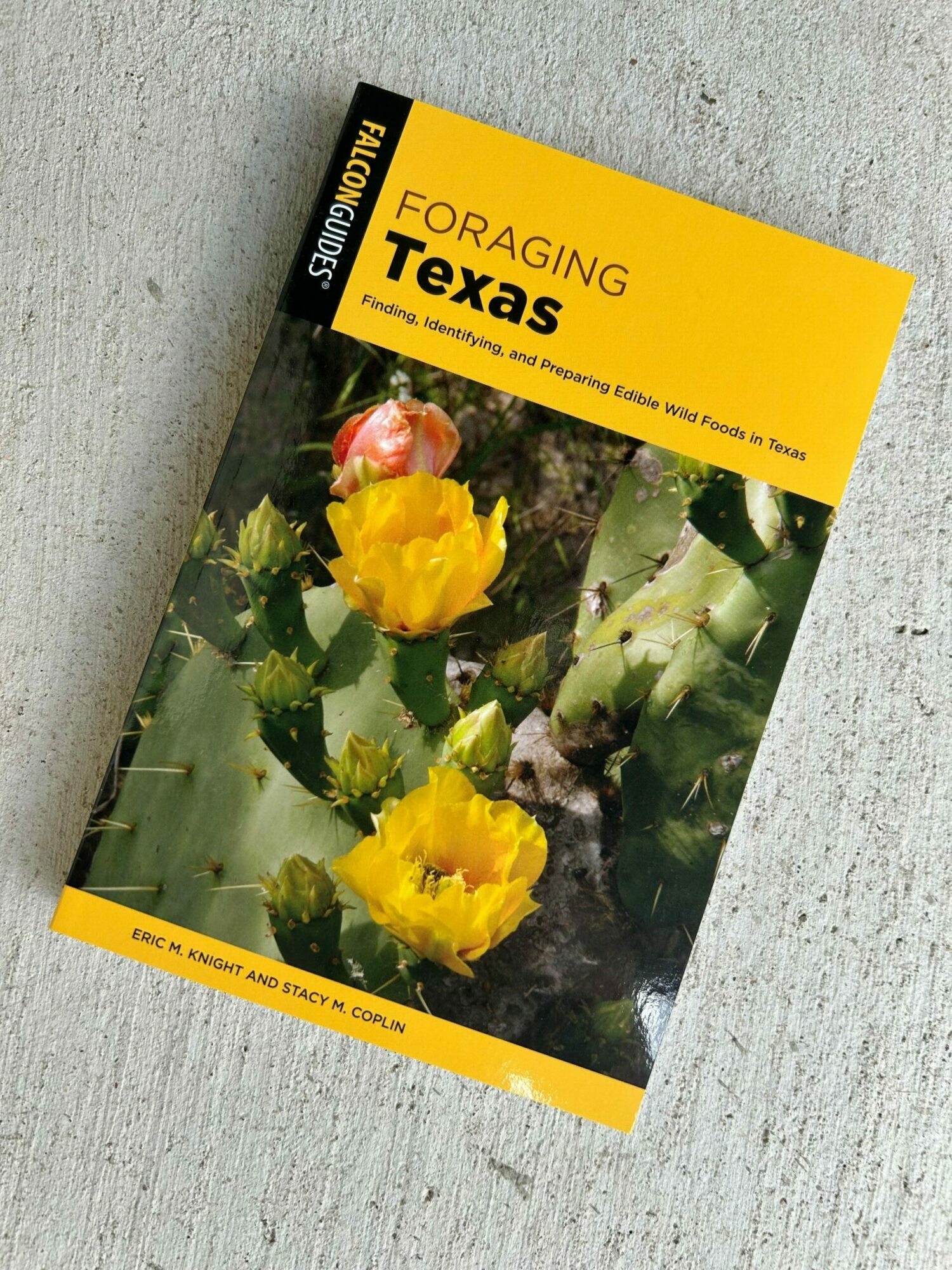 Guidebook cover with yellow flowers and cactus, titled 'Foraging Texas' on a gray surface.
