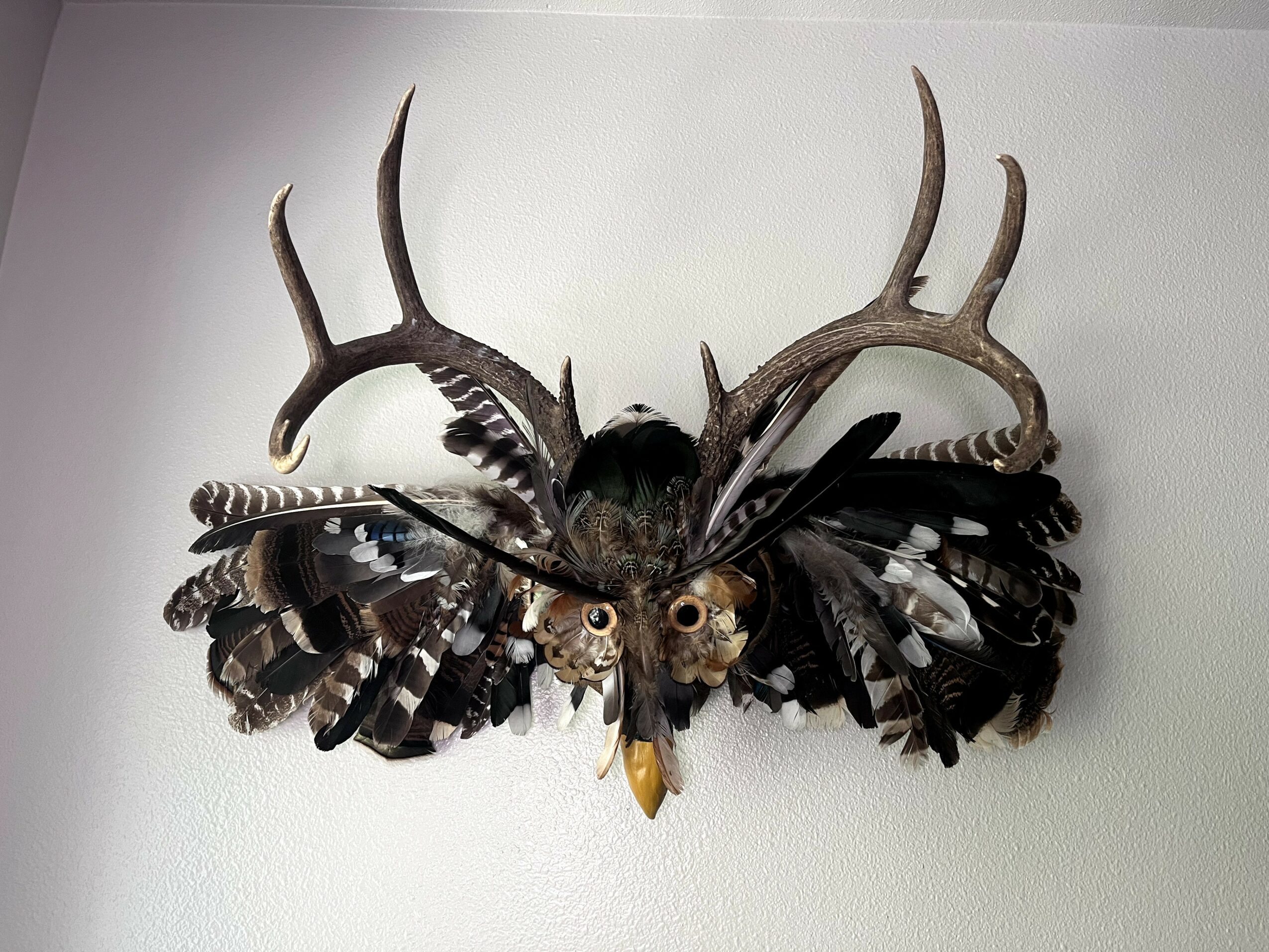 Decorative wall piece with antlers, feathers, and animal skulls, arranged symmetrically on a white wall.