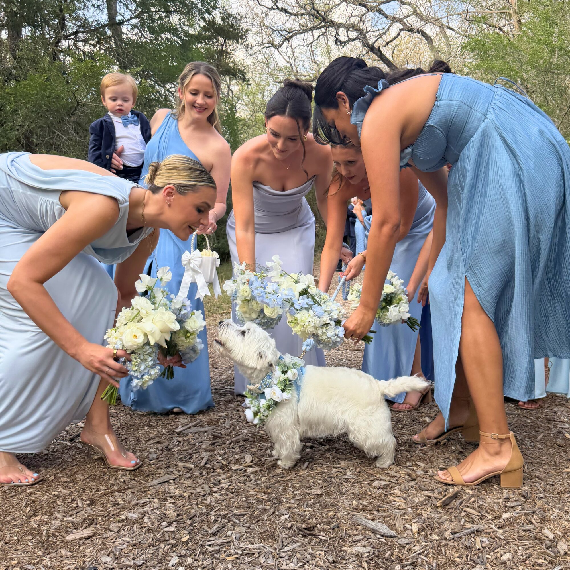 Group of women and children outdoors, placing flowers on a small white dog, with trees in the background.
