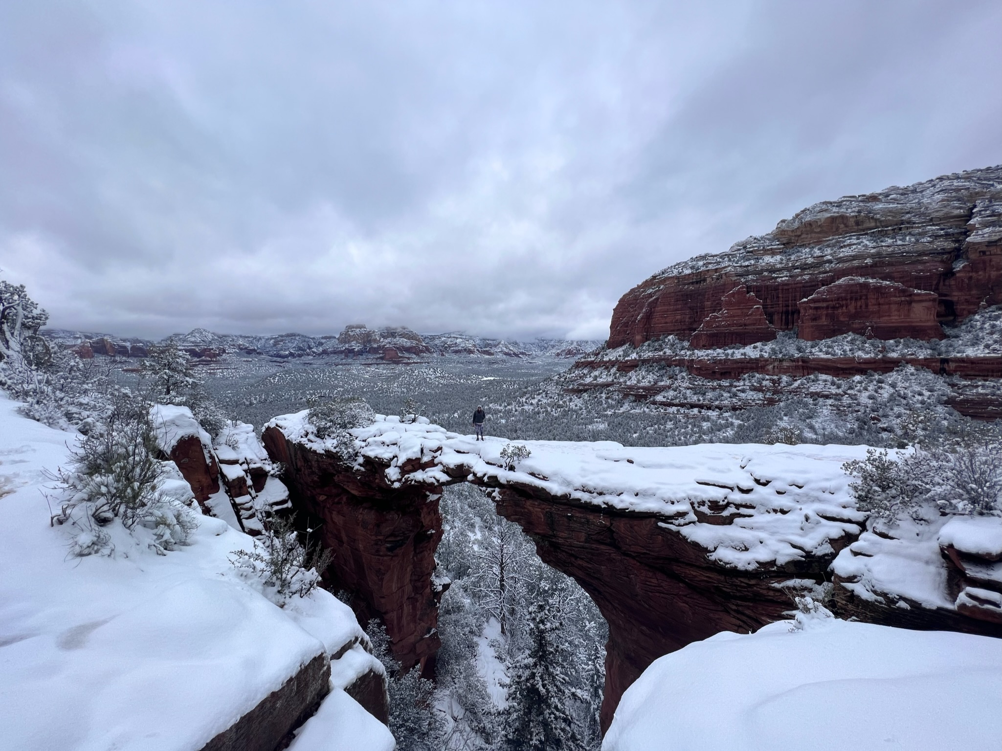Snow-covered landscape with red rock formations and cloudy sky, featuring a natural arch bridge and snow-dusted trees.