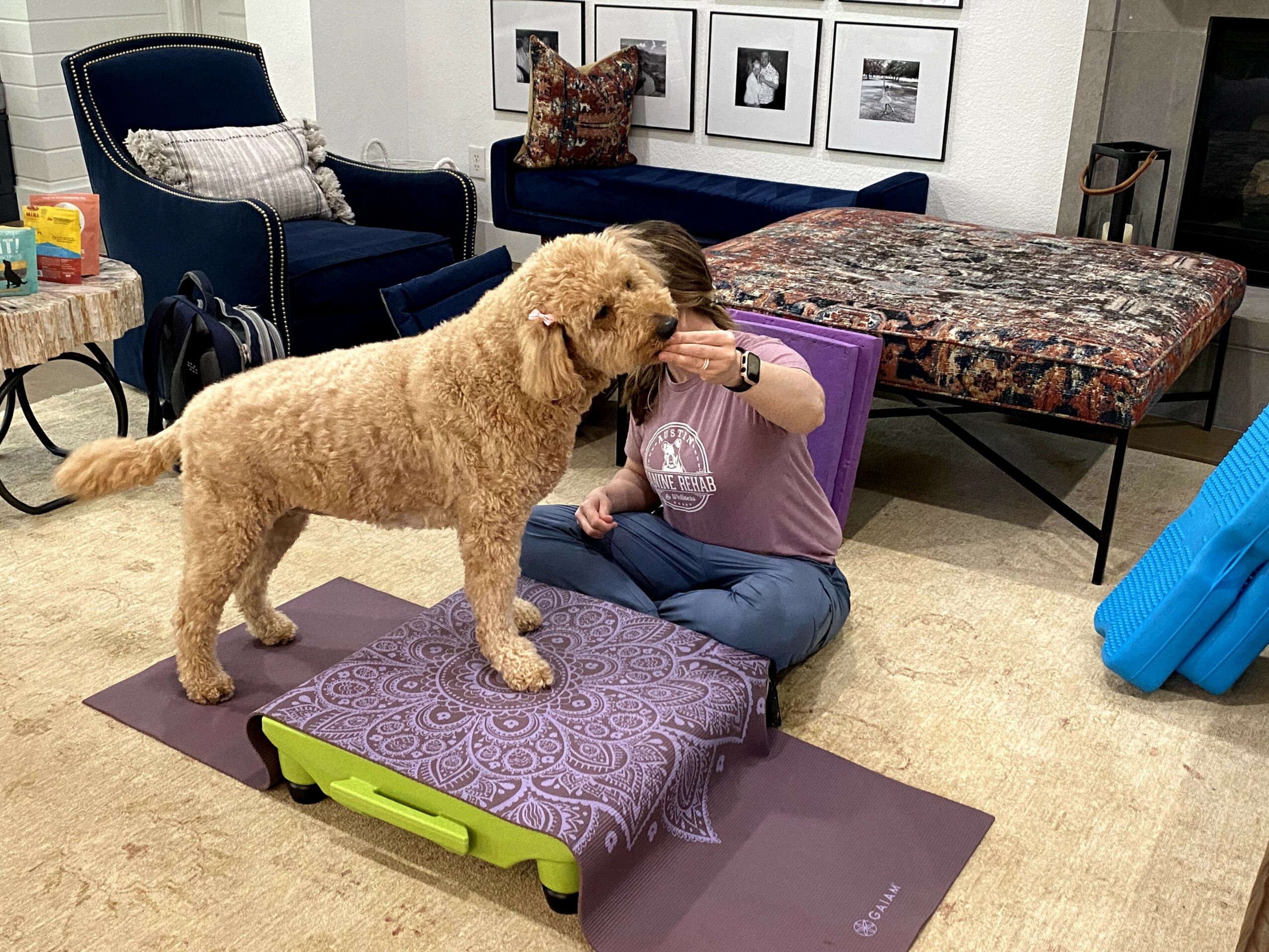 Person sitting on the floor with a large dog on a purple platform, in a living room with furniture and wall art.