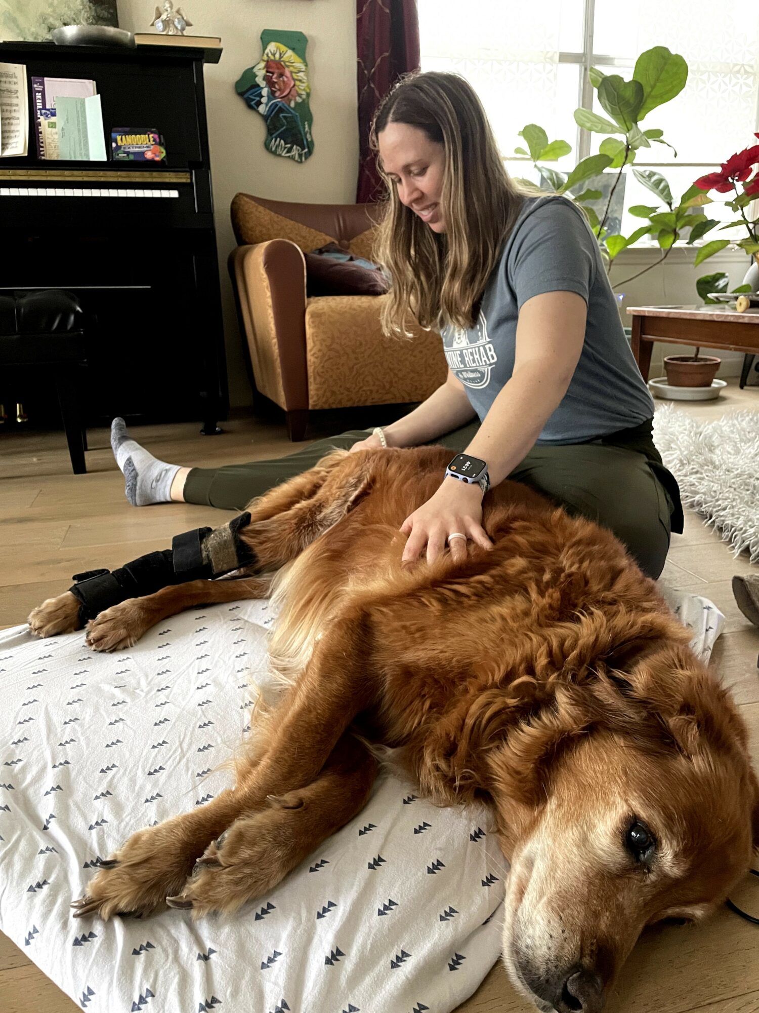 Woman petting a large golden retriever lying on a bed in a cozy living room with plants and furniture.