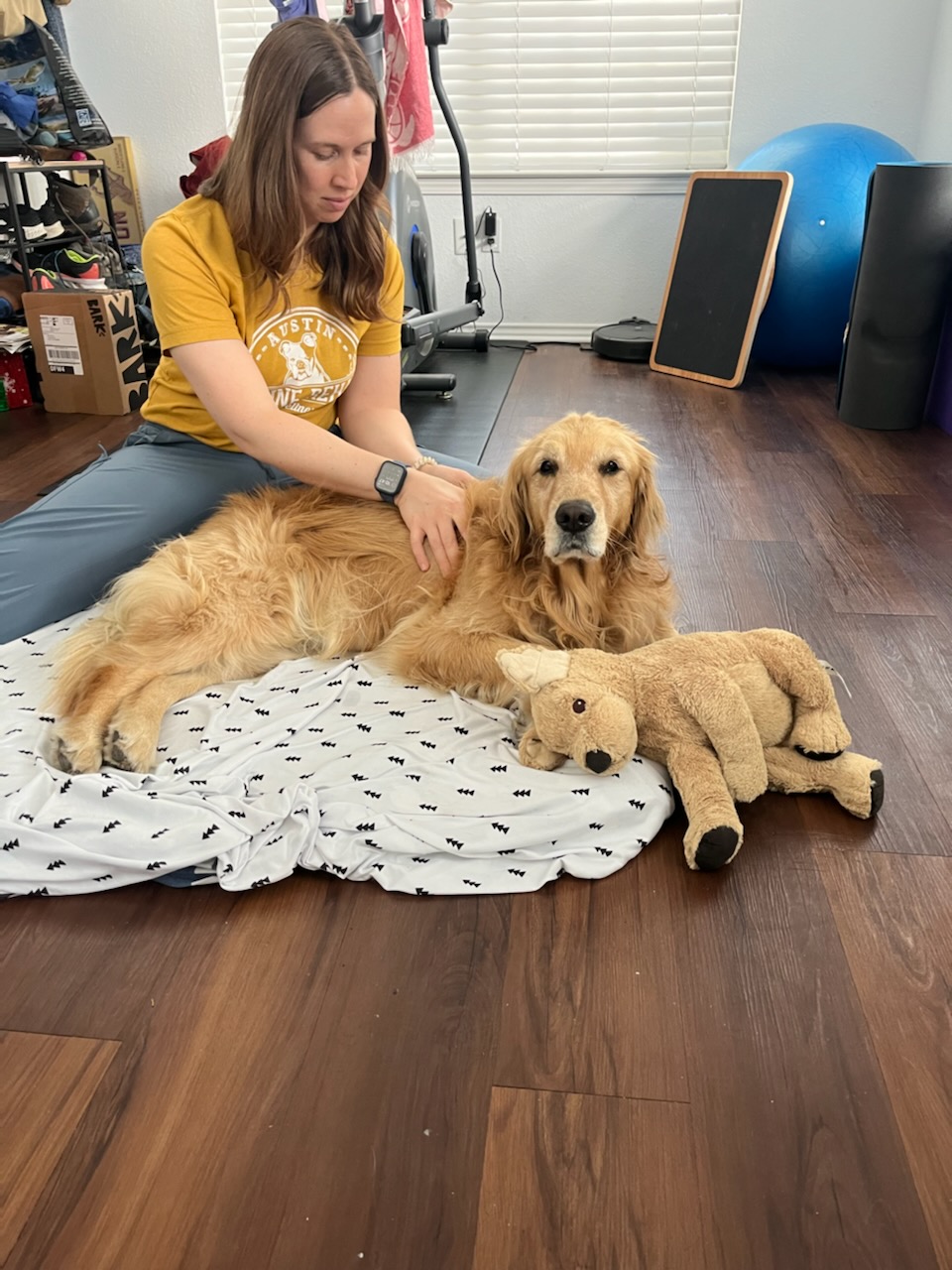 Woman sitting on floor with a golden retriever lying on a blanket, a stuffed dog toy nearby, in a room with wooden floor.