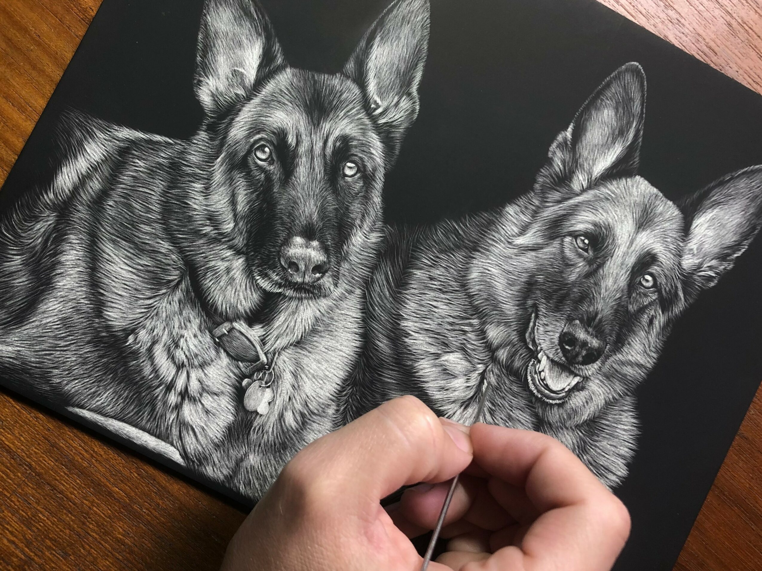 Black and white photo of two dogs with pointed ears and expressive faces, held by a person's hand.