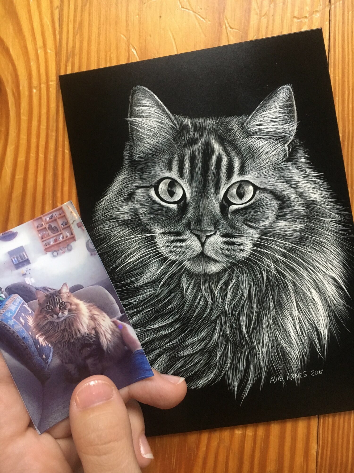 Black and white drawing of a cat with detailed fur and piercing eyes, on a black background.