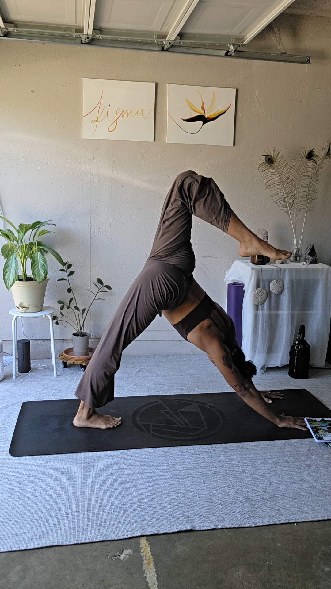 Person performing a downward dog yoga pose indoors, with artwork and plants on the wall behind, on a black mat.