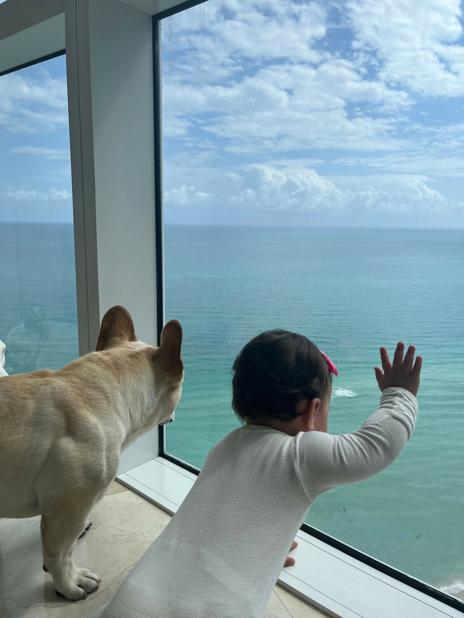Child and dog looking out a large window at the sky and water, child waving, dog sitting beside.