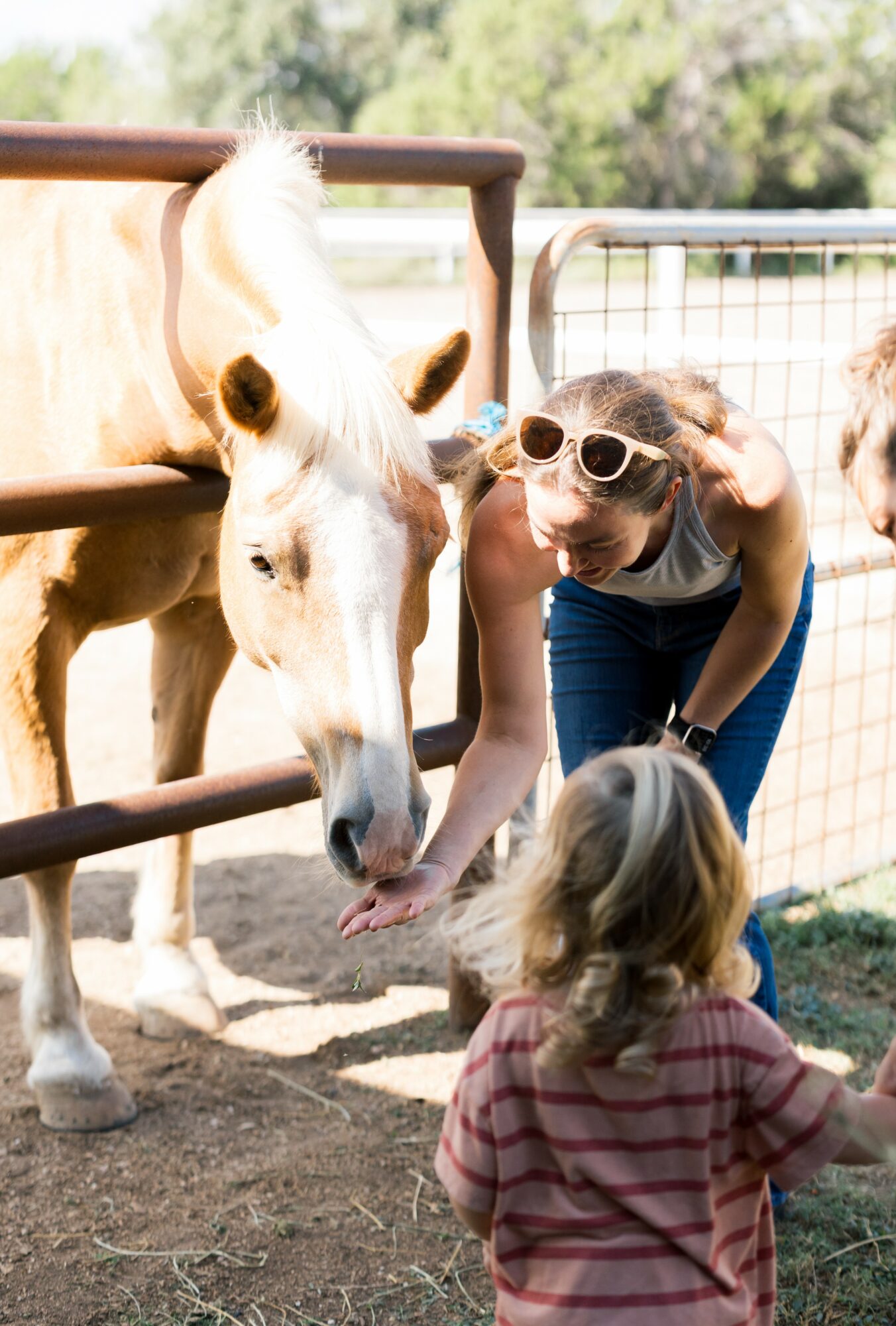 Child with sunglasses reaching out to a white horse at a fenced outdoor area, with another child nearby.