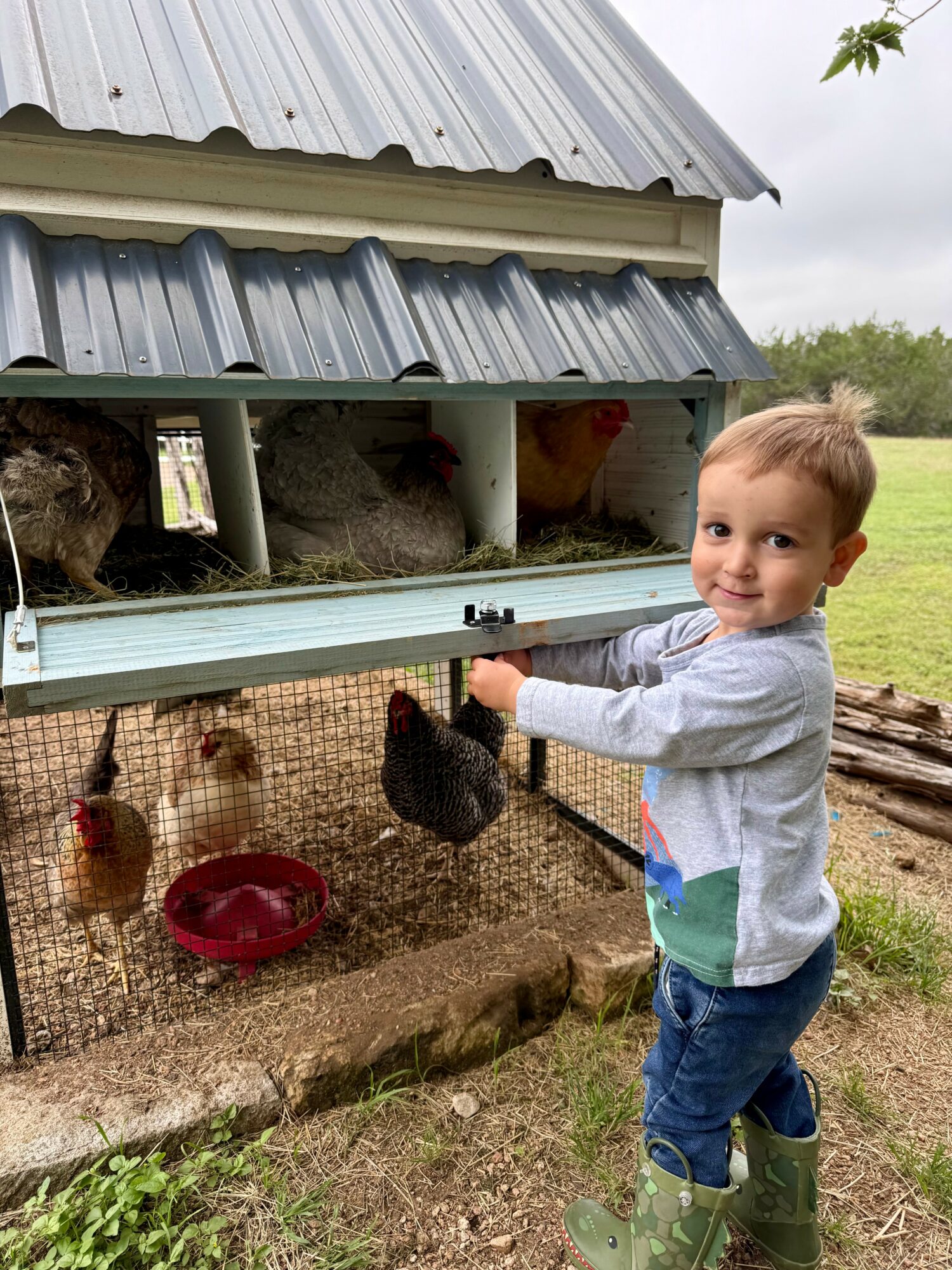 Young boy with short hair, wearing a gray jacket and green boots, standing outside a chicken coop with chickens inside.