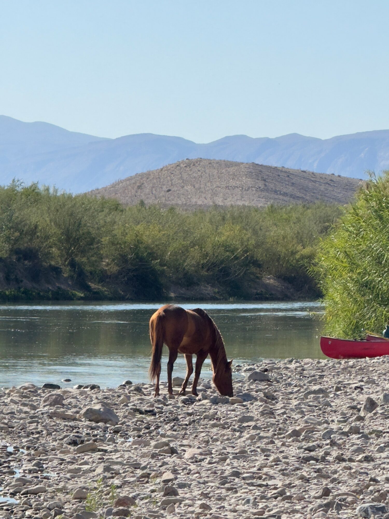 A horse grazes on a rocky riverbank with green bushes, mountains in the background, and a red boat on the right side.