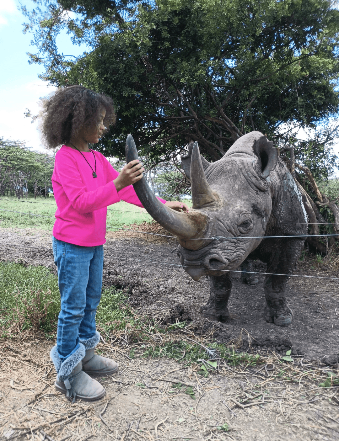 Child with curly hair in pink shirt and jeans touches a rhinoceros's horn outdoors, trees in background.