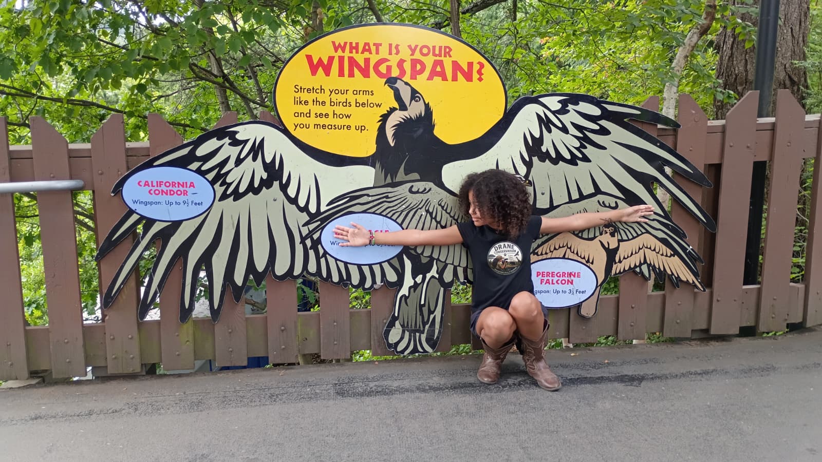 Person crouching in front of a large bird cutout with outstretched wings, on a sidewalk with a wooden fence and trees behind.