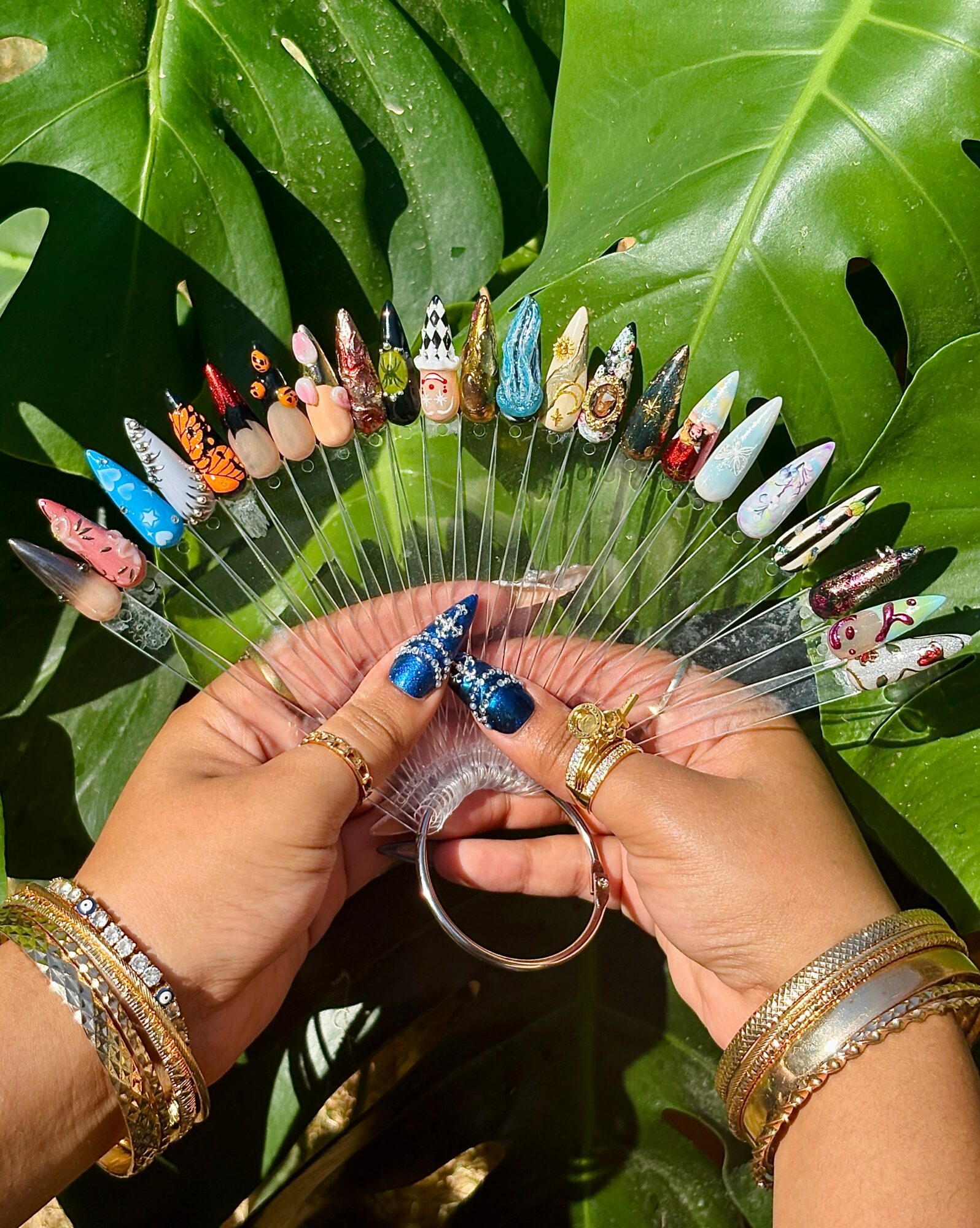 Hands holding a display of colorful nail art samples with large green leaves in the background.