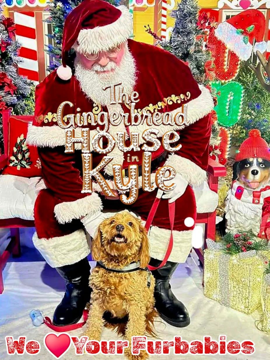 Santa Claus with a small dog in front, surrounded by Christmas decorations and gifts, festive scene, colorful background.