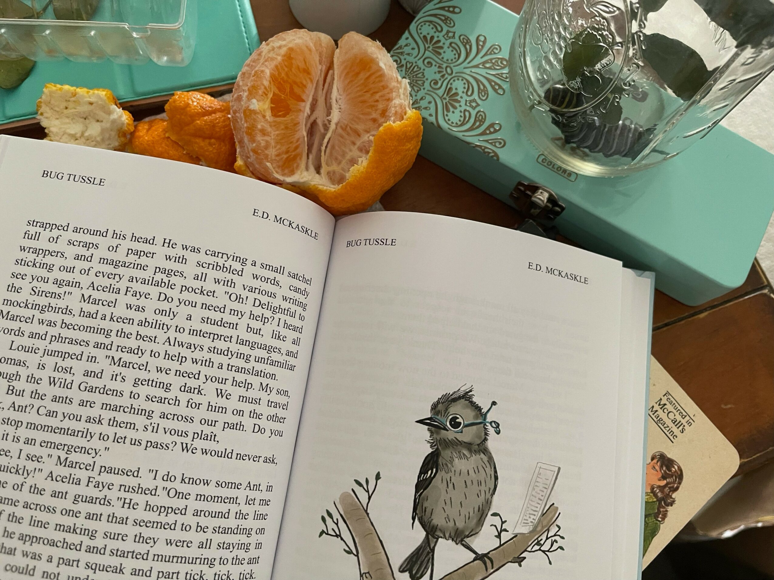 Open book with a bird illustration on the right page, surrounded by fruits, a box, and a glass container on a table.
