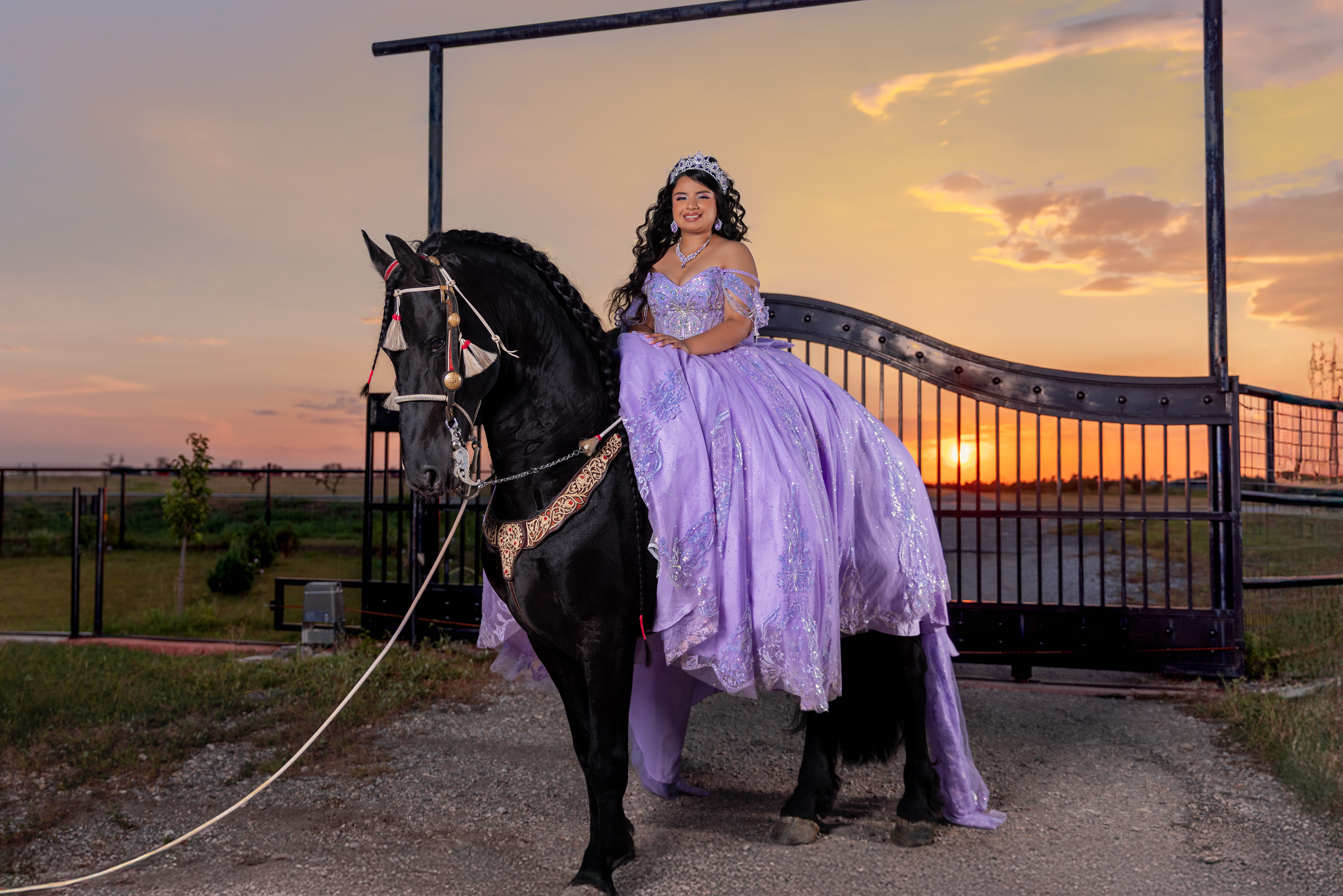 Woman in a purple dress standing on a black horse at sunset, with a gate and open field in background.
