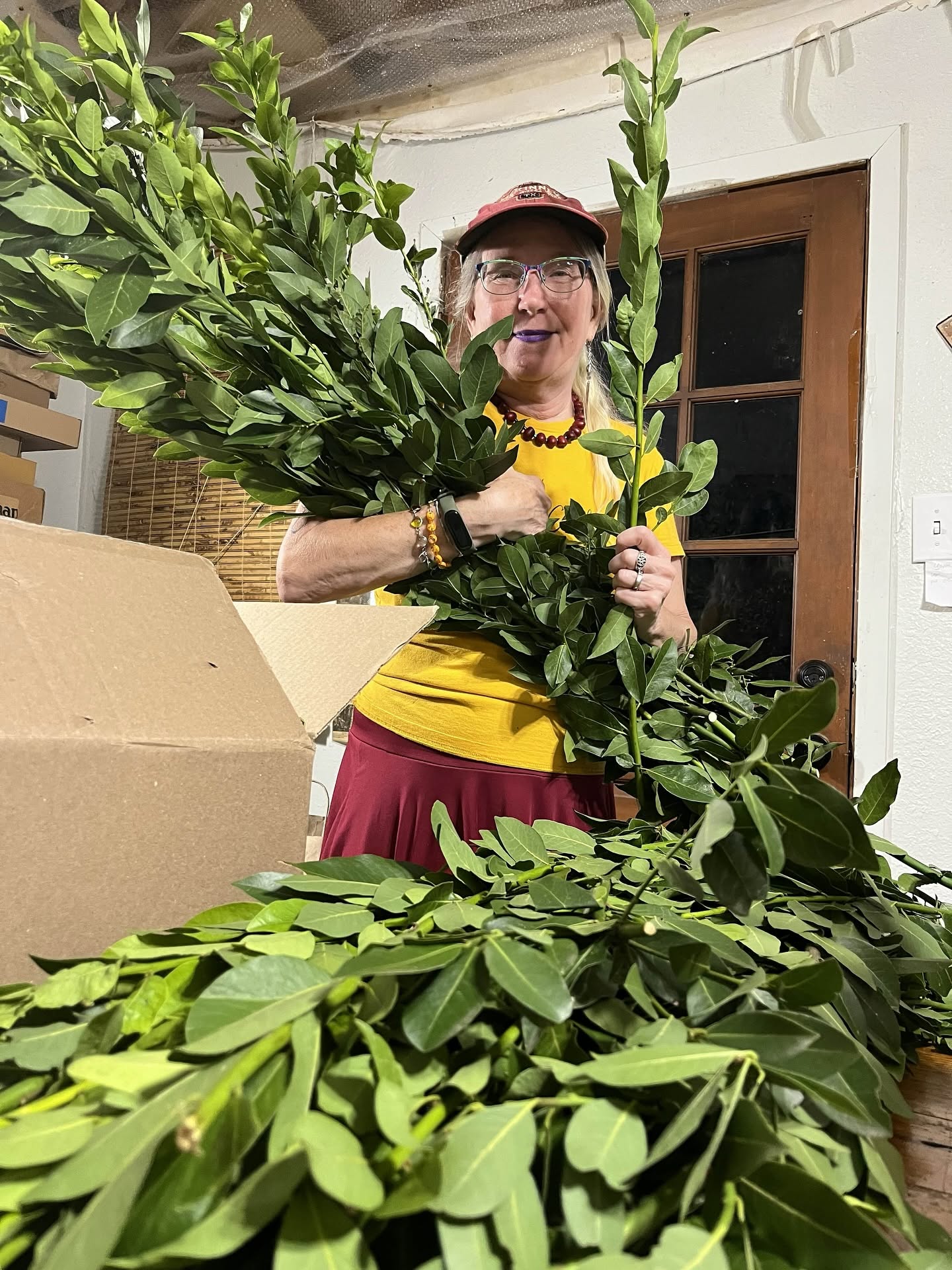Woman with glasses, wearing a red cap, yellow shirt, and red skirt, holding a large green leafy plant indoors.