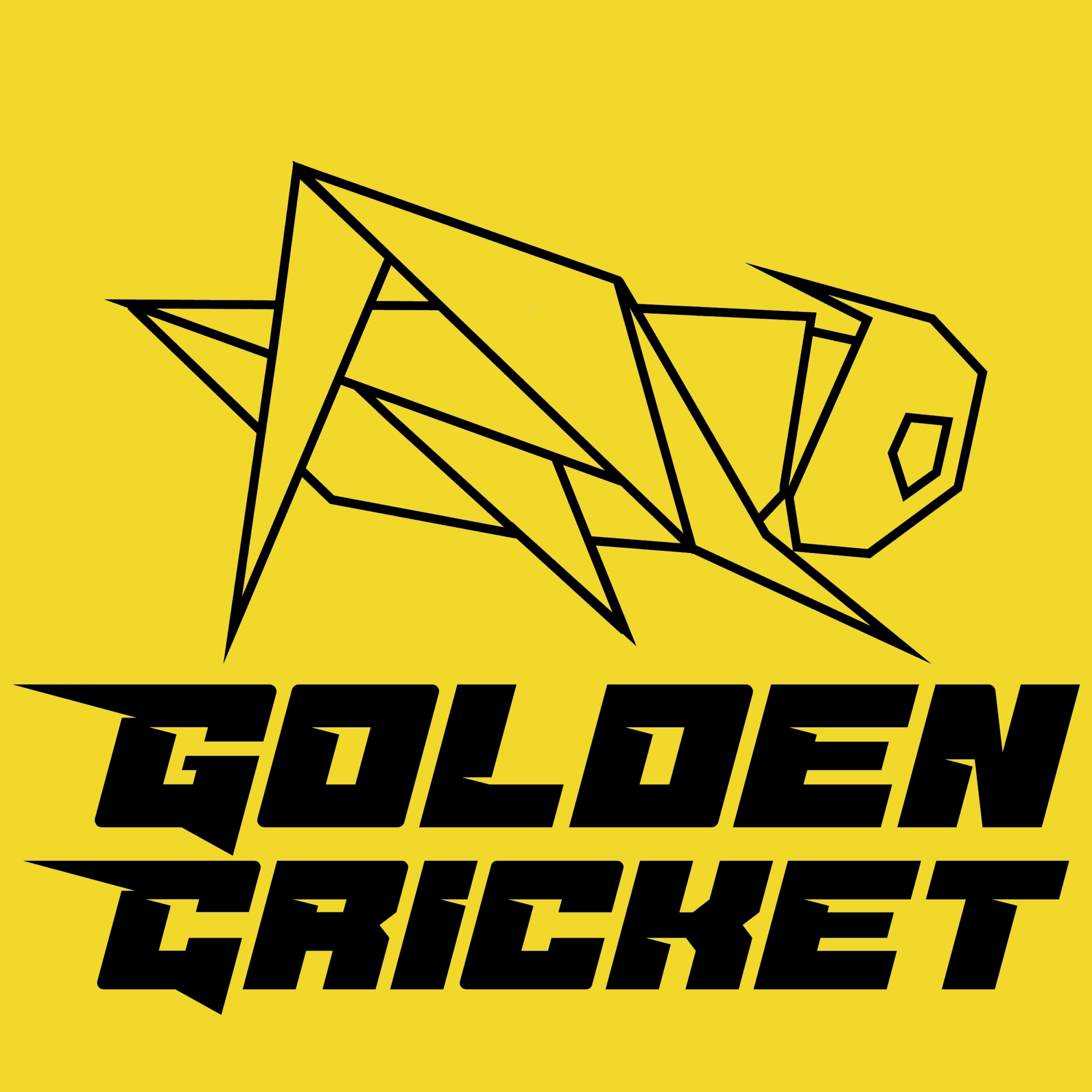 A geometric line drawing of a cricket above the bold text 'GOLDEN CRICKET' on a yellow background.