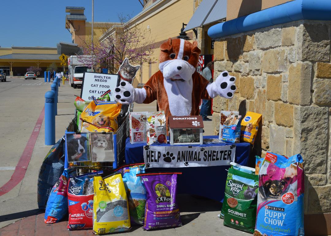 Stuffed animal dressed as a dog with donation items for an animal shelter, including pet food and supplies, on a table outside.