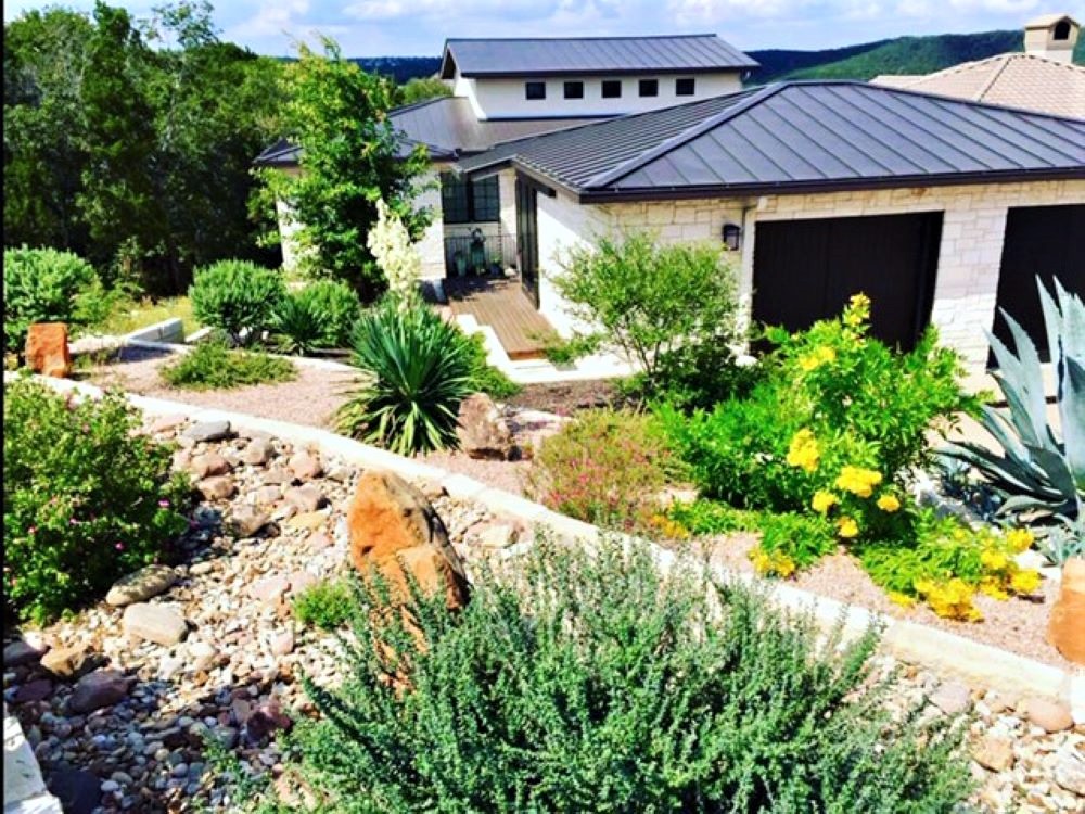 A garden with various plants and rocks in front of a house with a metal roof, trees, and a blue sky.