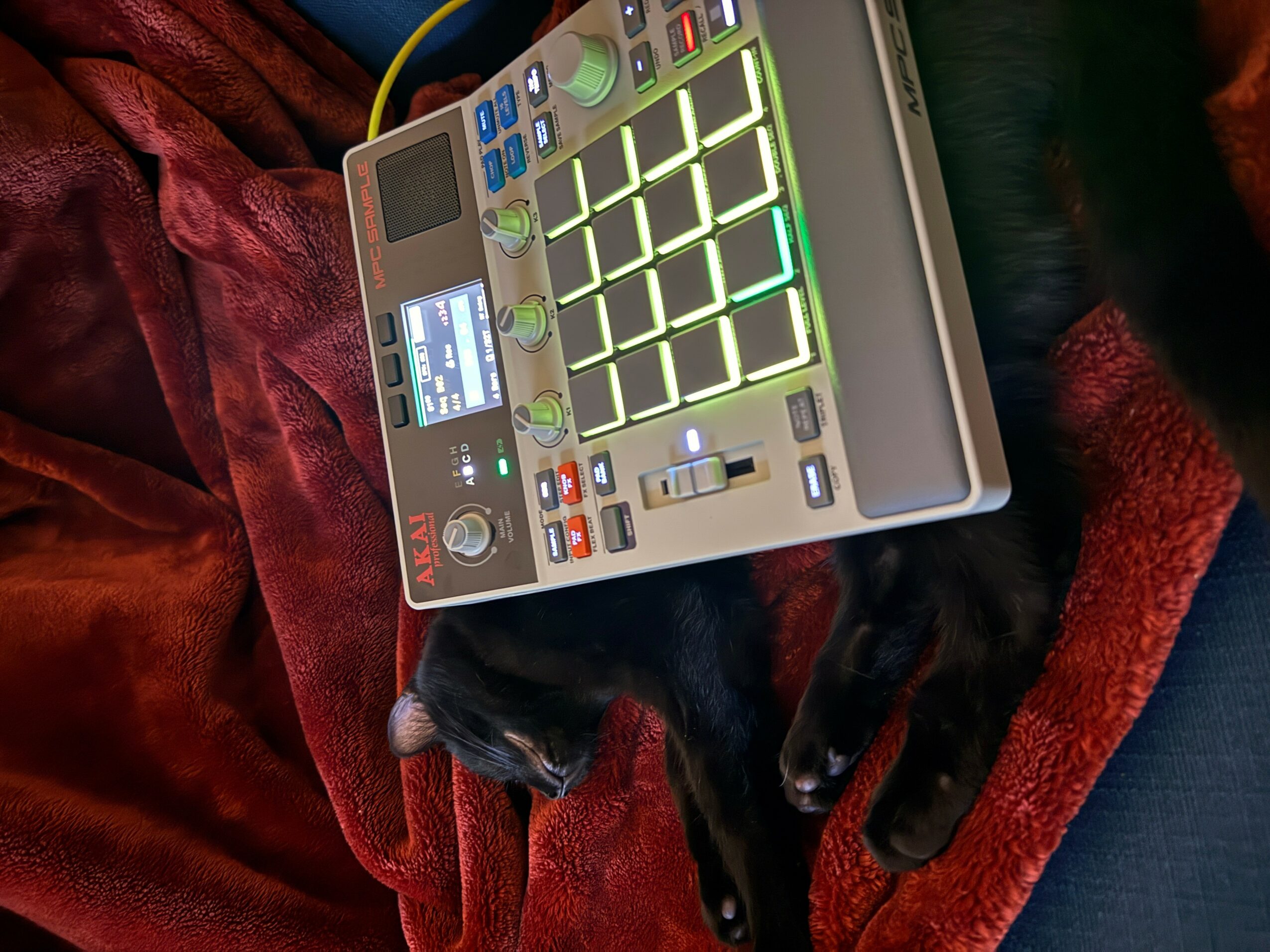 A music production device with illuminated pads, knobs, and a small screen, placed on a red fabric surface with a black cat lying nearby.