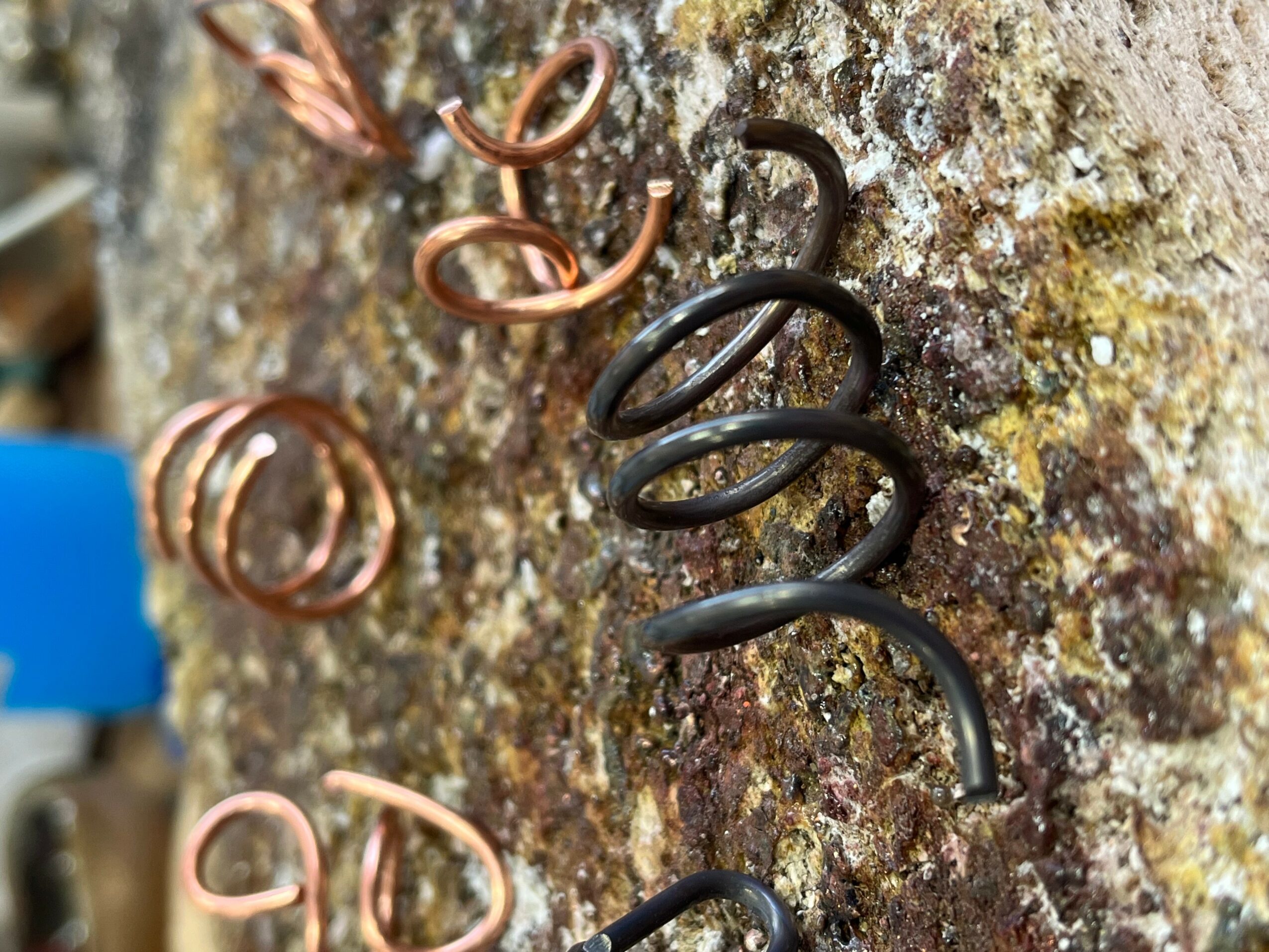 Close-up of small metal springs attached to a textured, mossy surface, with some springs copper-colored and others black.