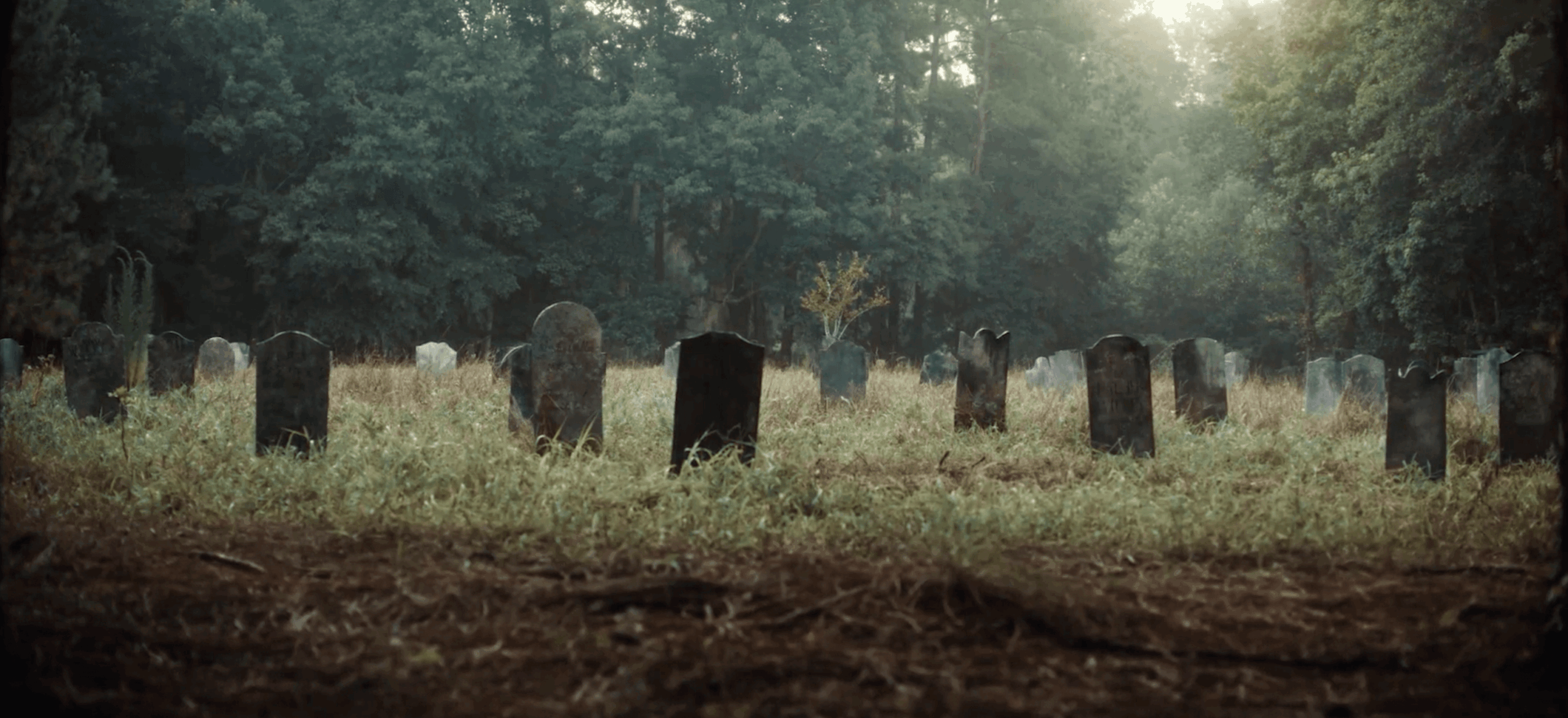 Graveyard with headstones among trees and fog, sunlight filtering through the trees, peaceful and somber scene.