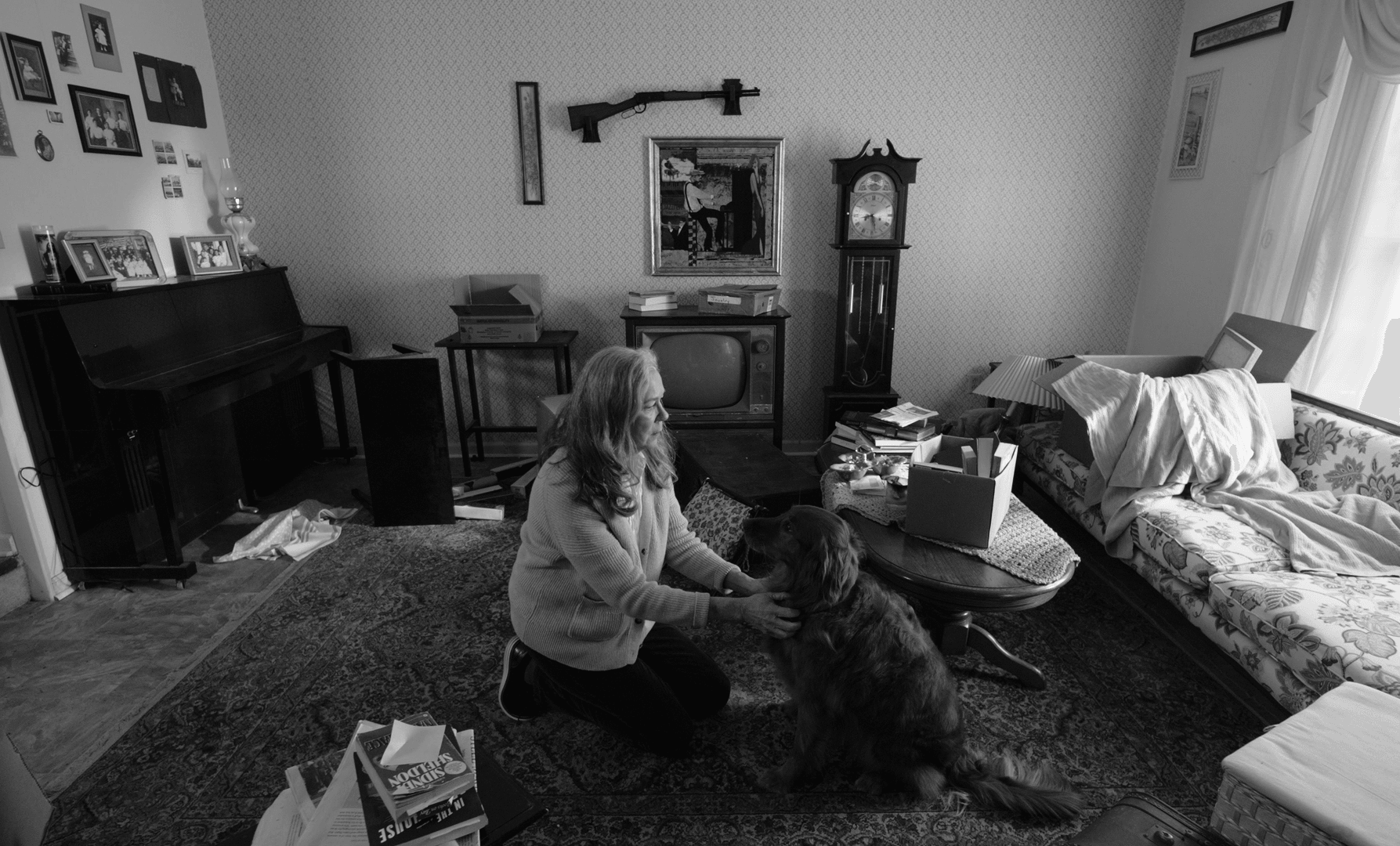 Child sitting on carpet playing with a large dog in a living room, with furniture and decorations visible.