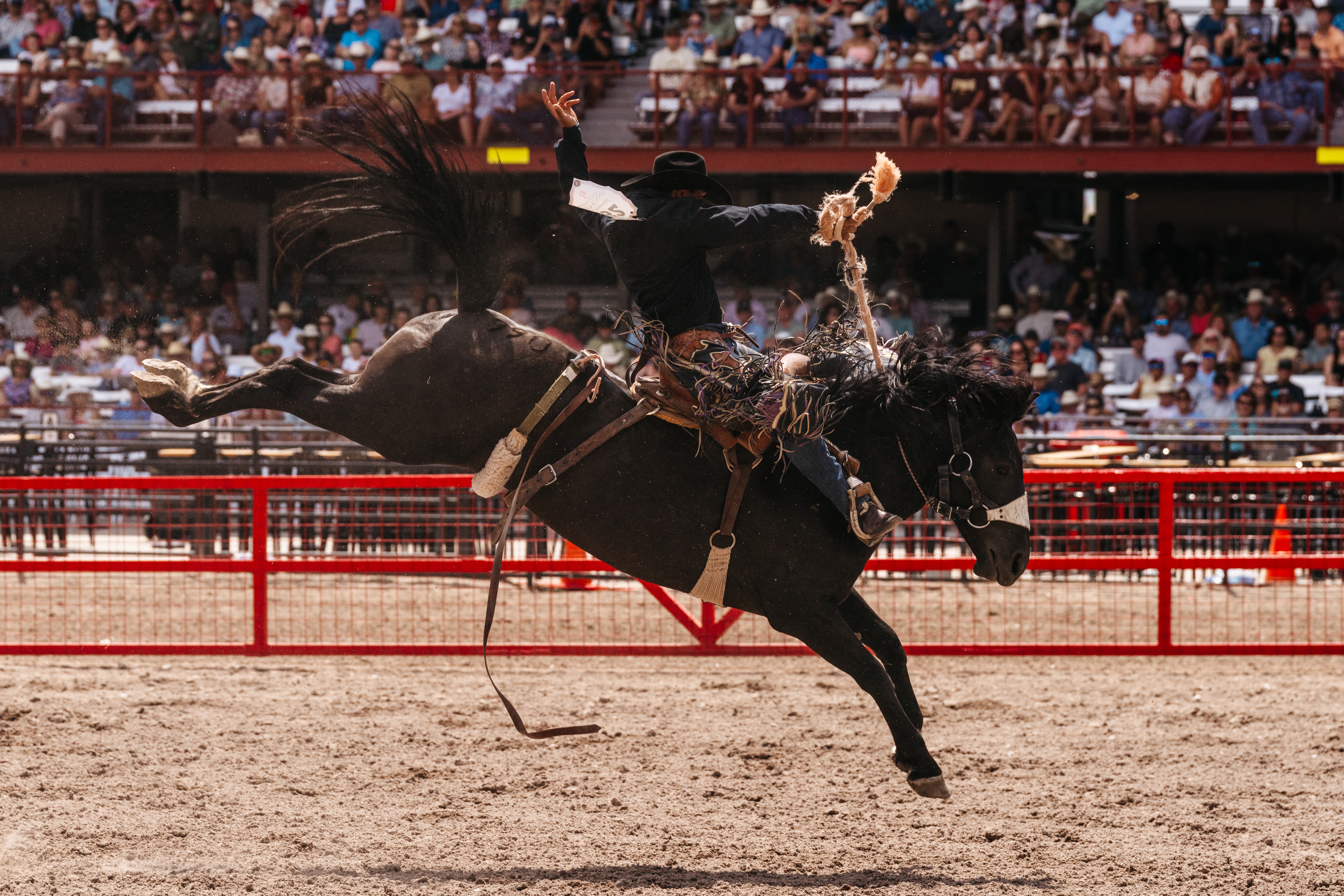 Person riding a bucking horse in a rodeo arena with a crowd in the background.