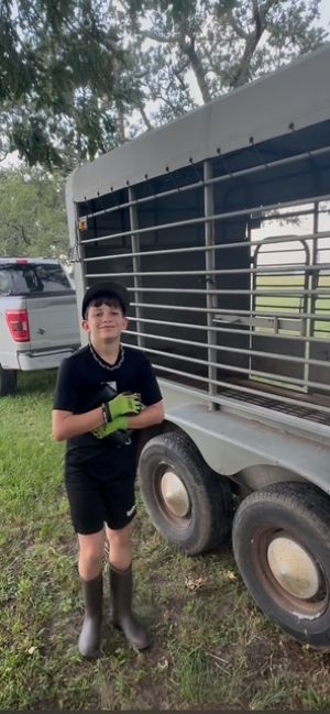 Child standing next to a large animal trailer, holding a green object, outdoors with trees and a vehicle in the background.