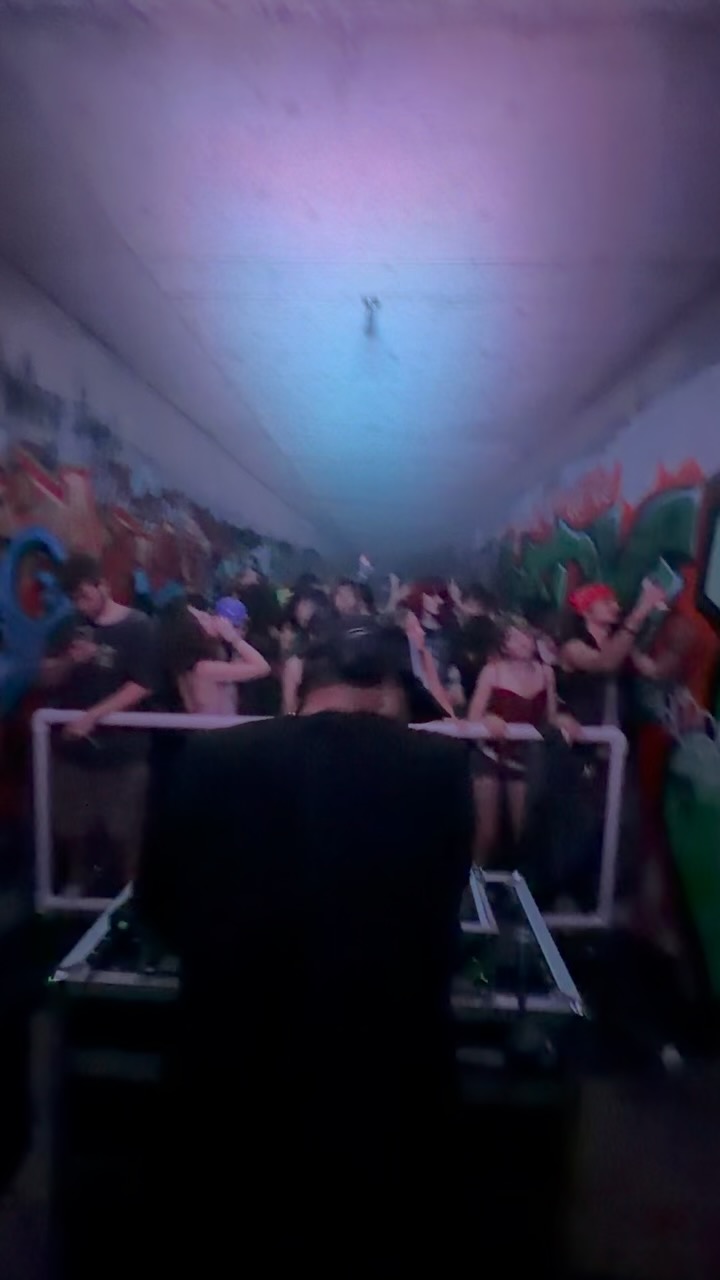 DJ in front of a crowd at a concert or event, with colorful artwork on the wall behind them.