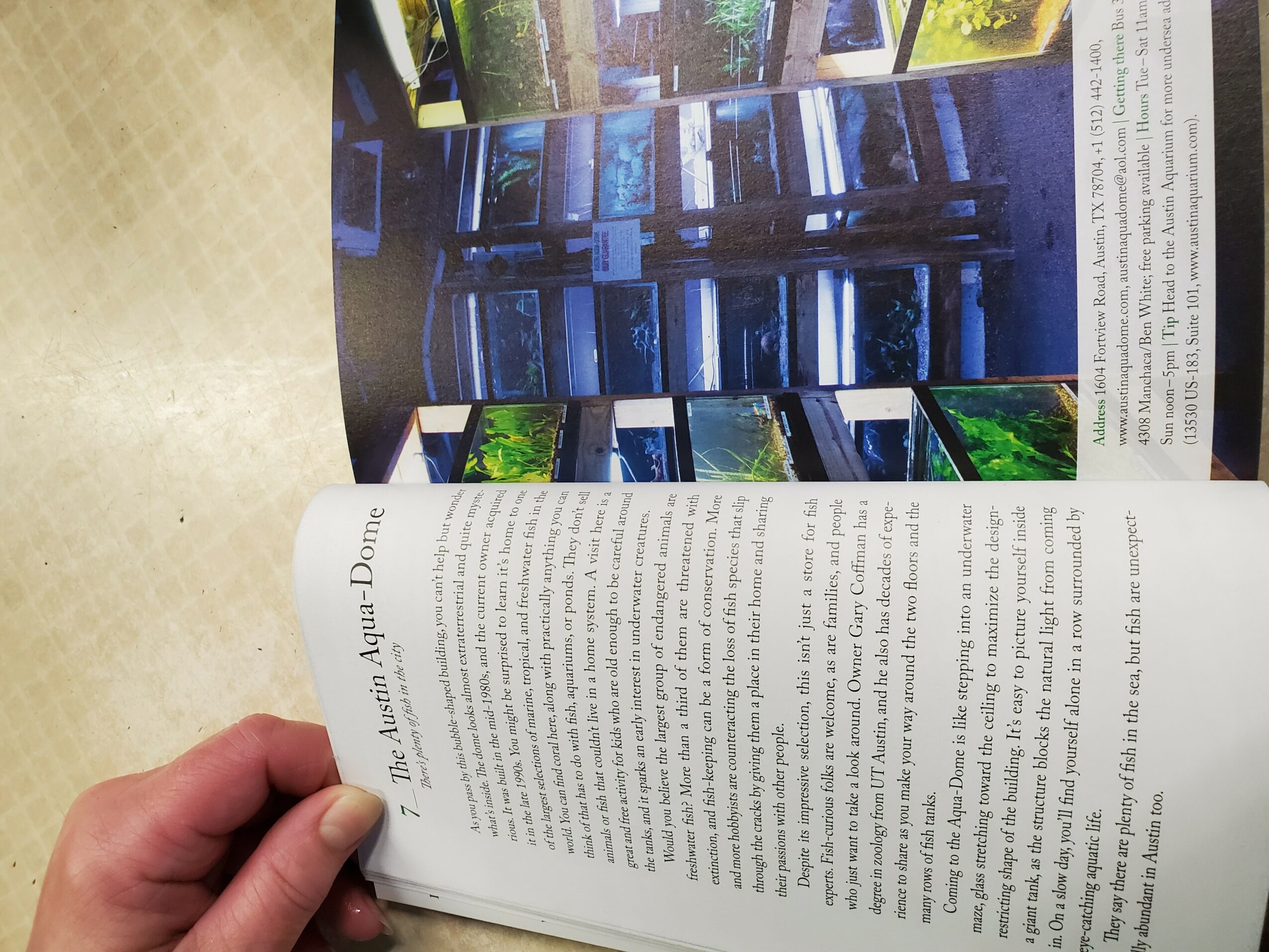 Open magazine showing a page with text and a photo of a building with blue windows, held by a person's hand.