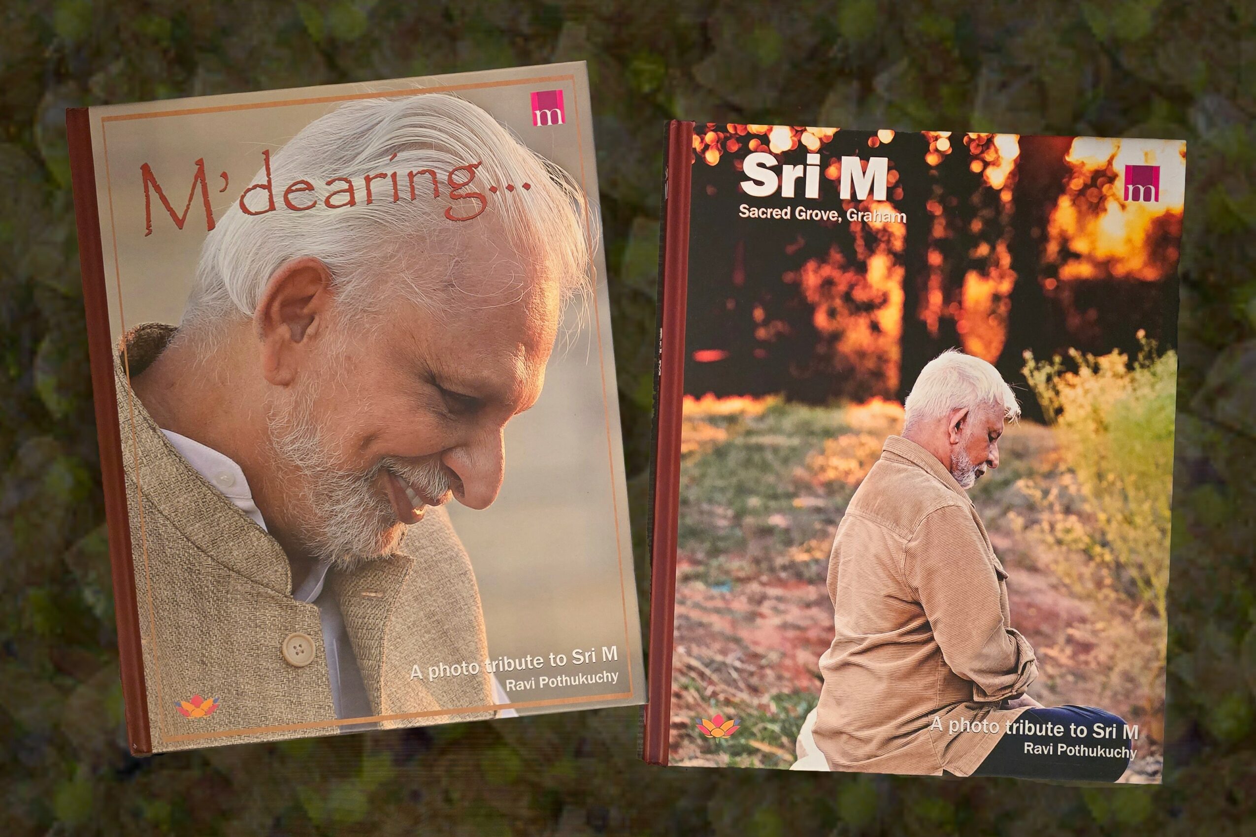 Two books featuring elderly man with white hair and beard, outdoors, one smiling, one sitting with back to camera, sunset background.