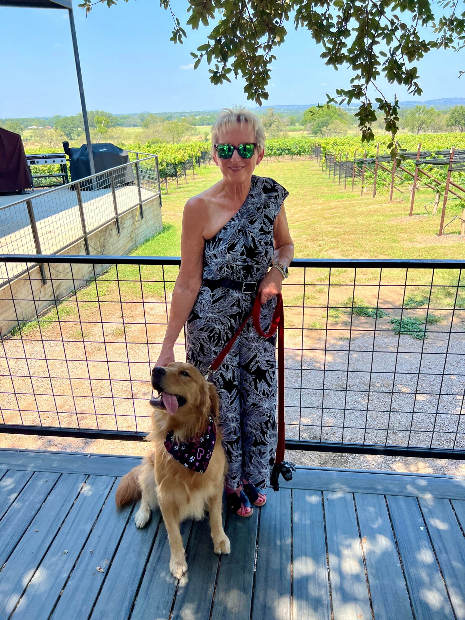 Woman with sunglasses standing outdoors with a dog on a leash, behind a fence, under a tree, sunny day.