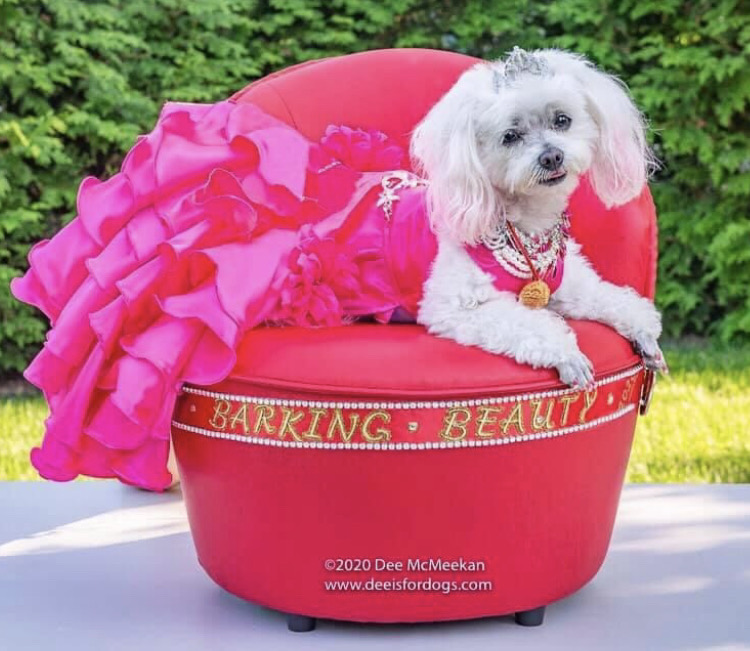 Small white dog with pink dress and jewelry sitting in a red bowl outdoors, green foliage in background.