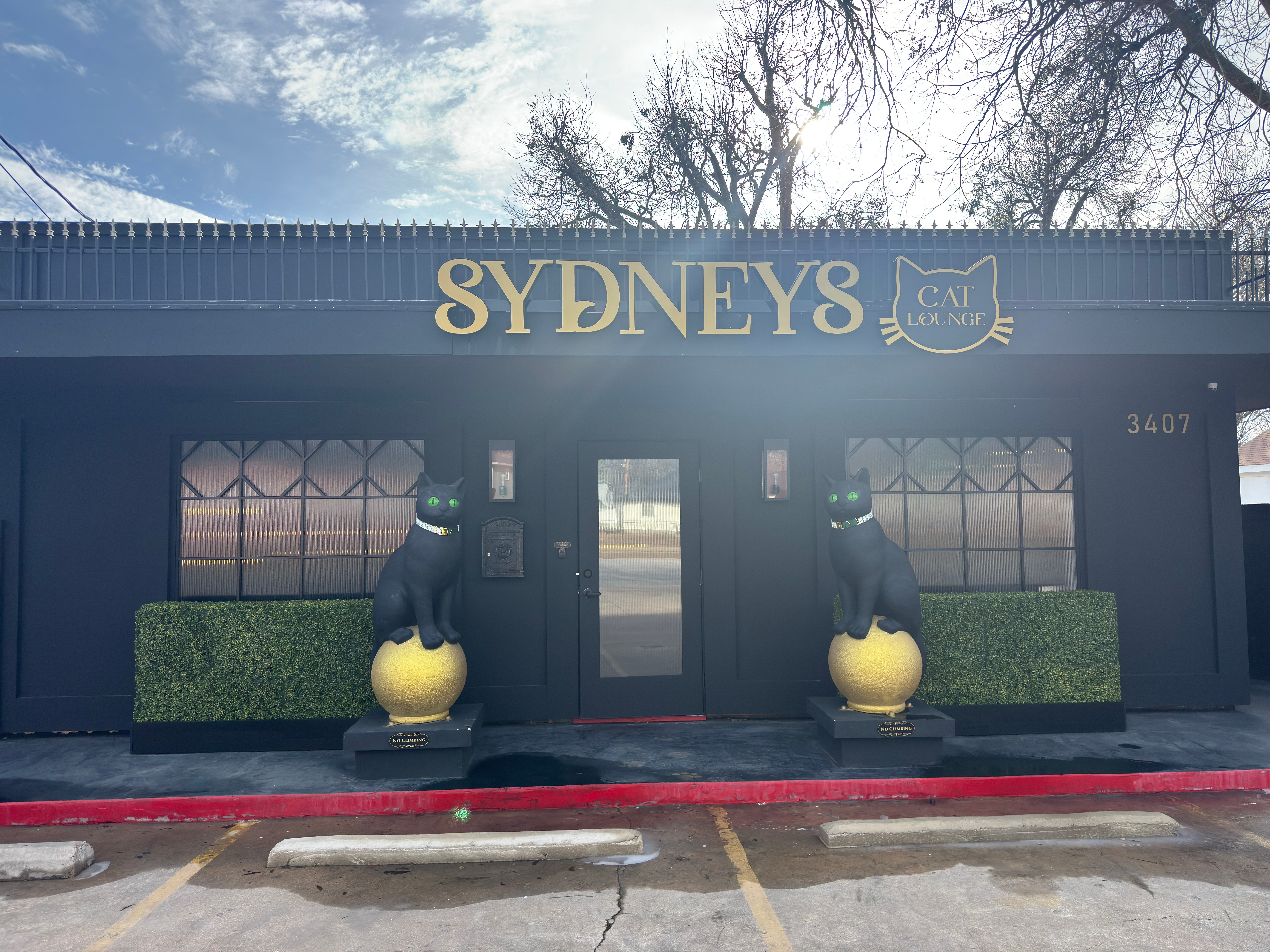Facade of a restaurant named SYDNEYS with two black bear statues holding yellow balls, bushes, and windows.