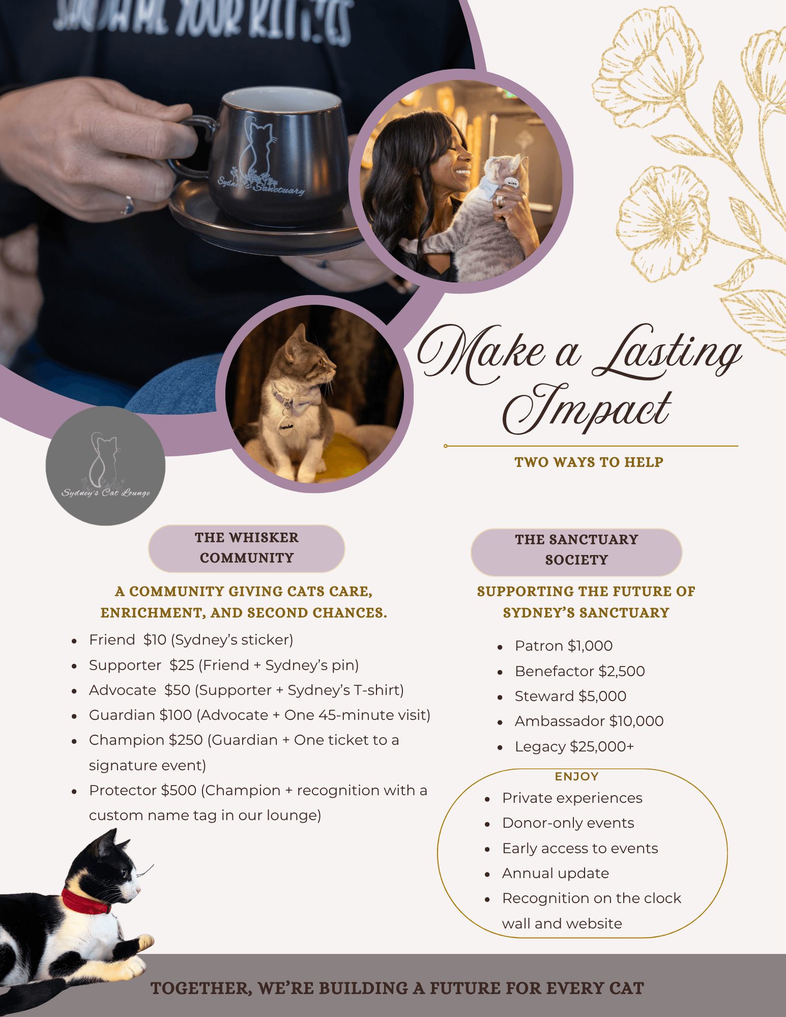 Person holding a black mug, two women drinking, and a kitten, with text about helping cats and community support.