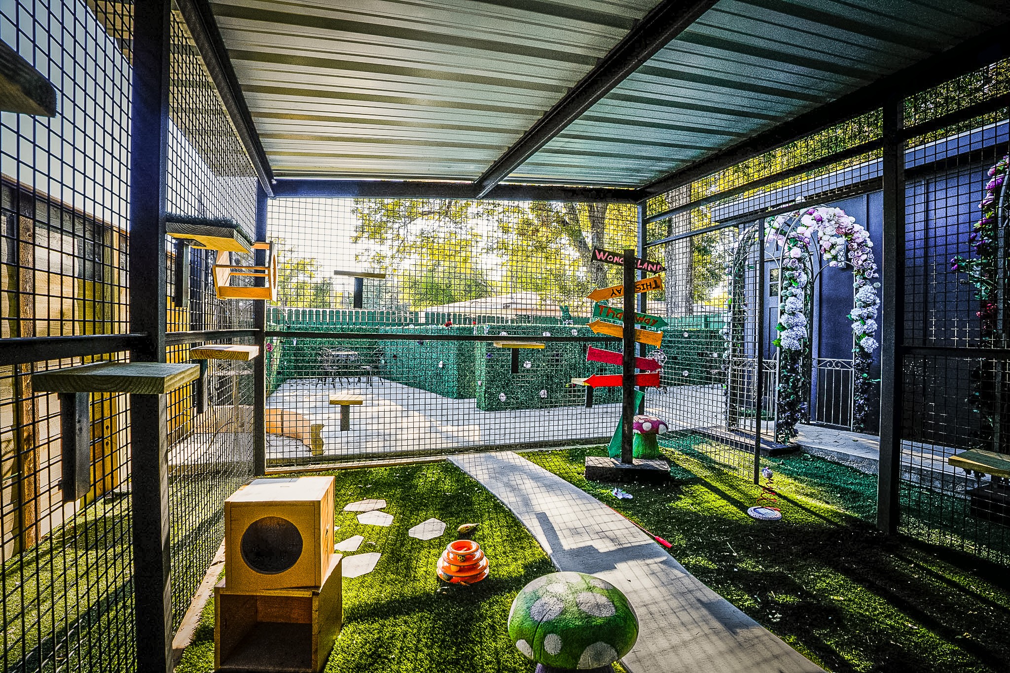 Indoor play area with artificial grass, toys, and climbing structures, enclosed by wire mesh fencing, with trees visible outside.