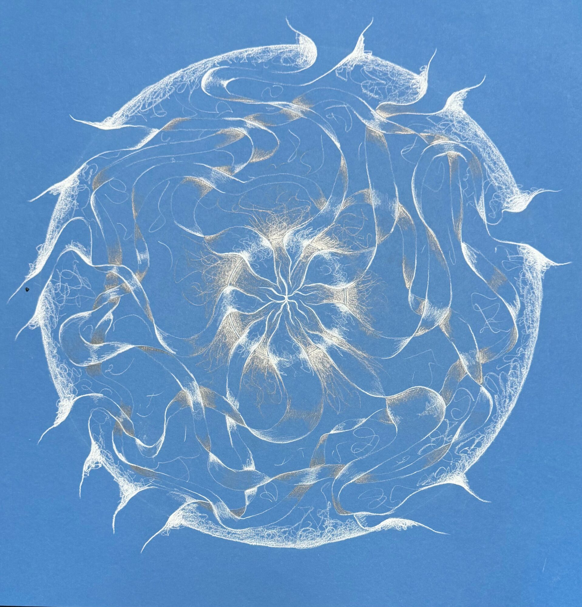 A circular, abstract, white design on a blue background resembling a stylized sun or starburst pattern.