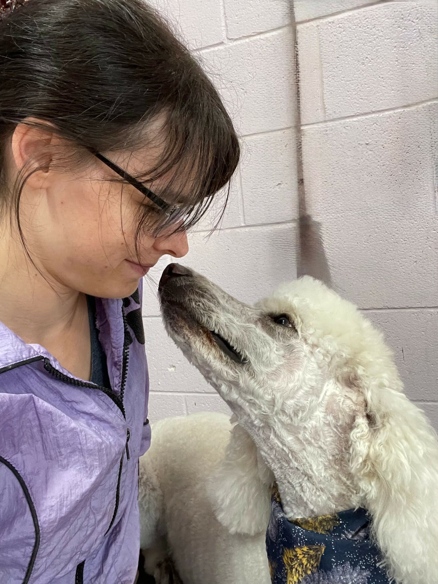 Person with glasses and dark hair close to a white dog with curly fur, both facing each other.